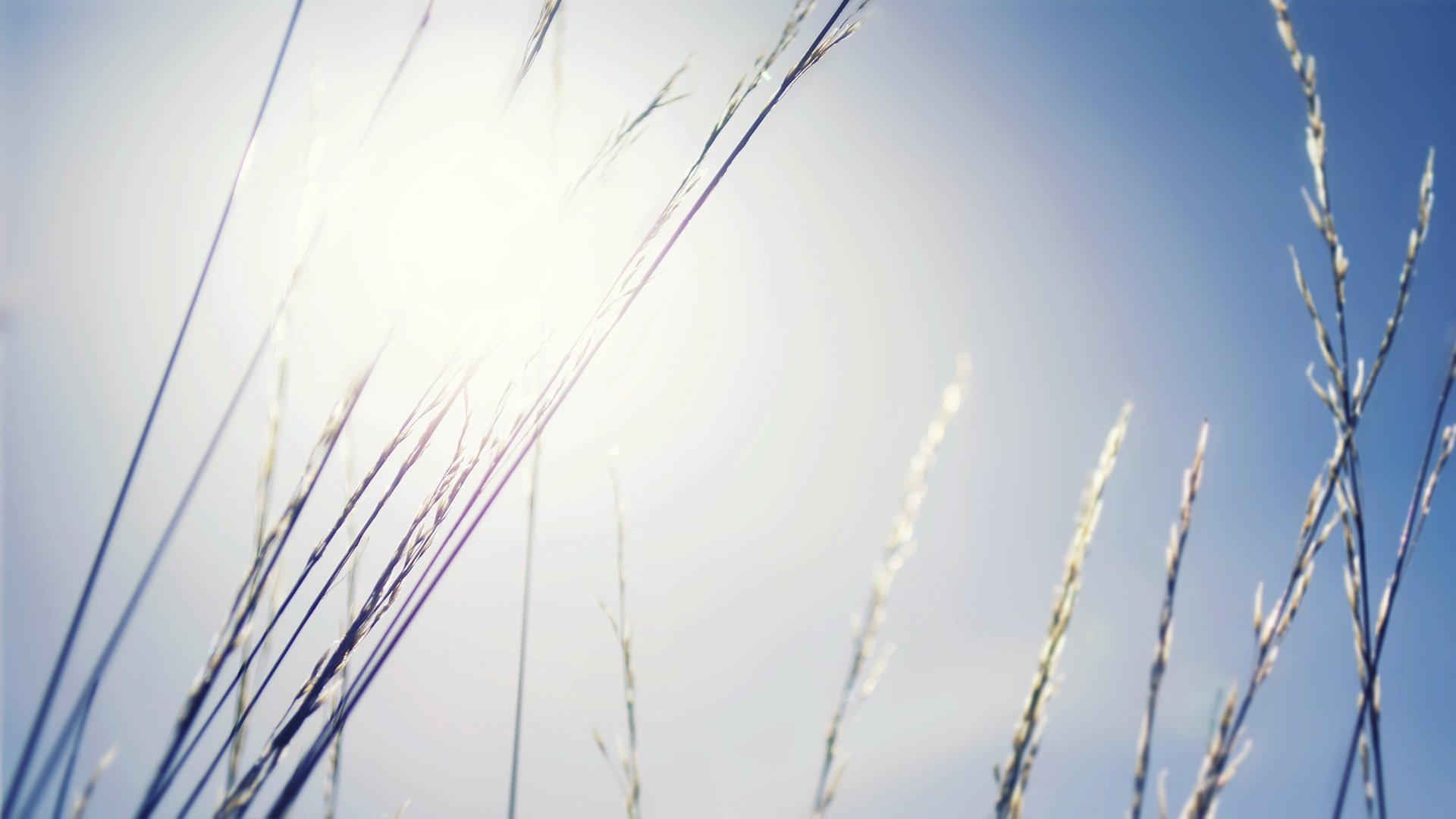 小清新,清新淡雅,儿童桌面专用