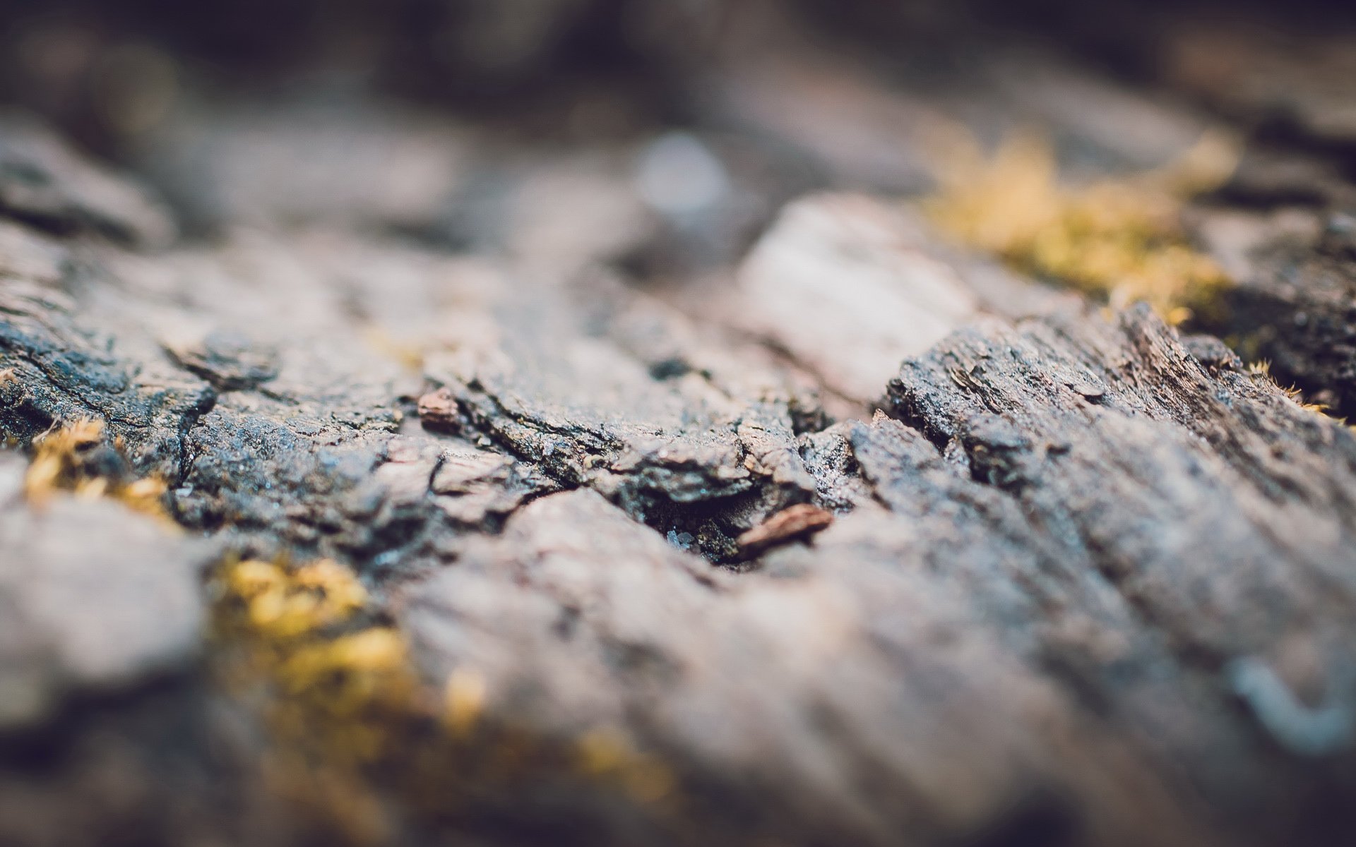 小清新,温馨一刻,儿童桌面专用