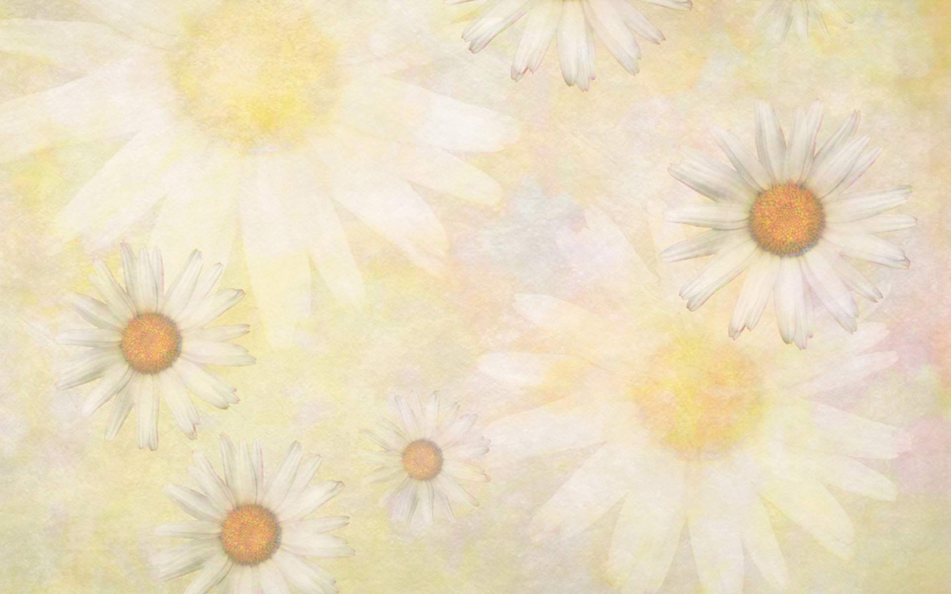 小清新,清新淡雅,儿童桌面专用