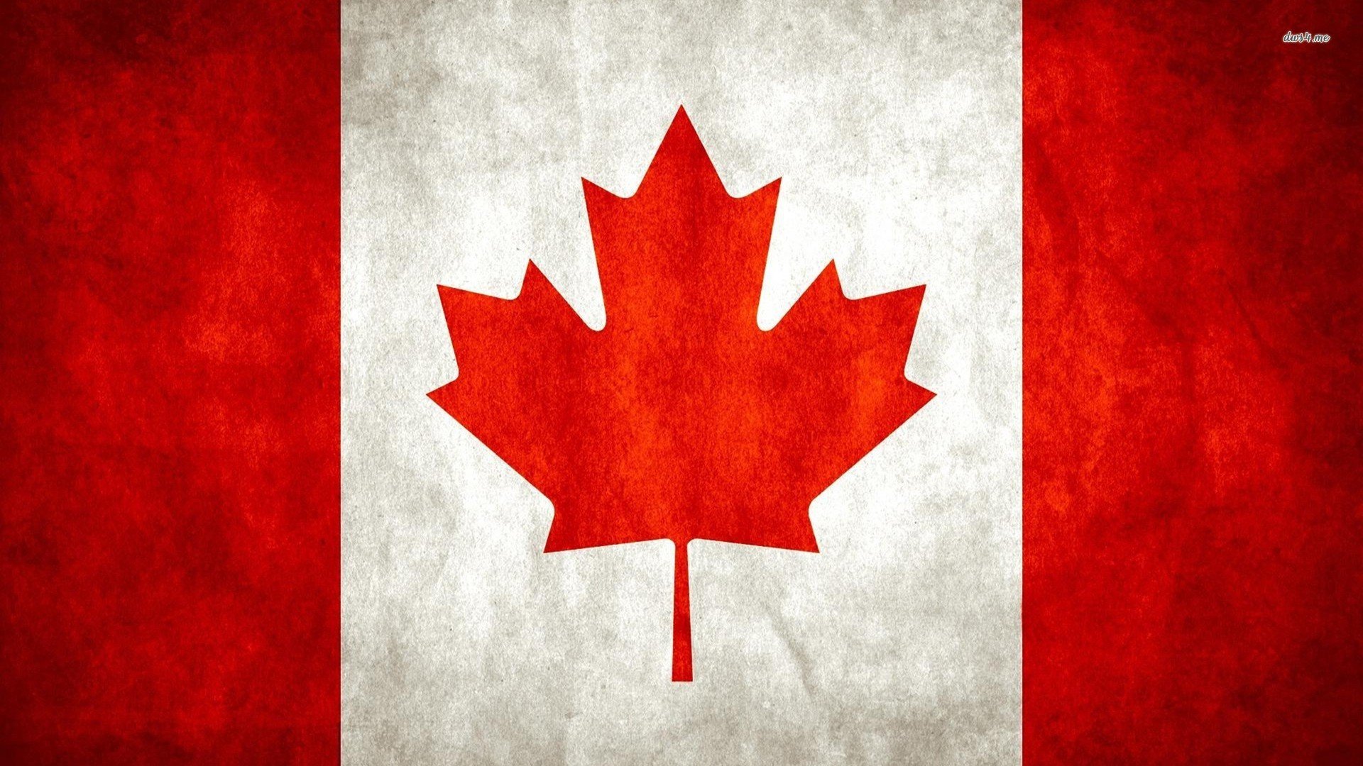 创意,简约,儿童桌面专用