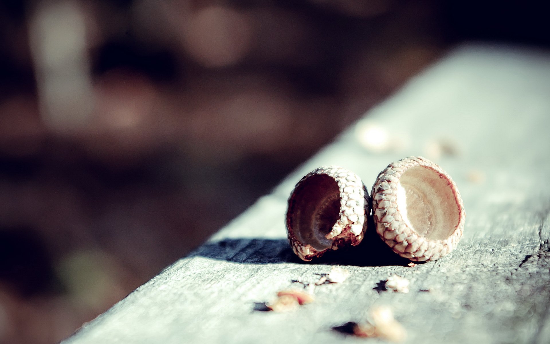 小清新,静物写真,儿童桌面专用