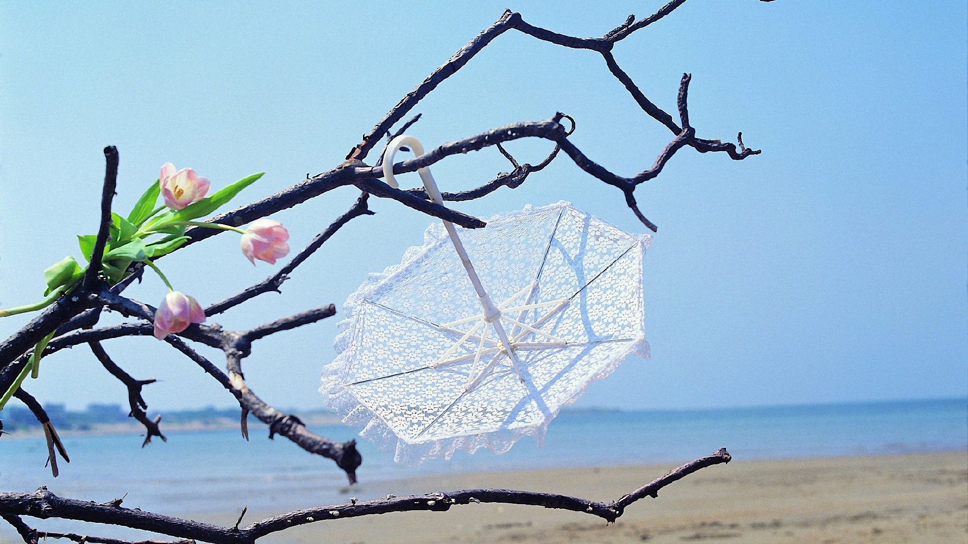 小清新,静物写真,雨伞,儿童桌面专用