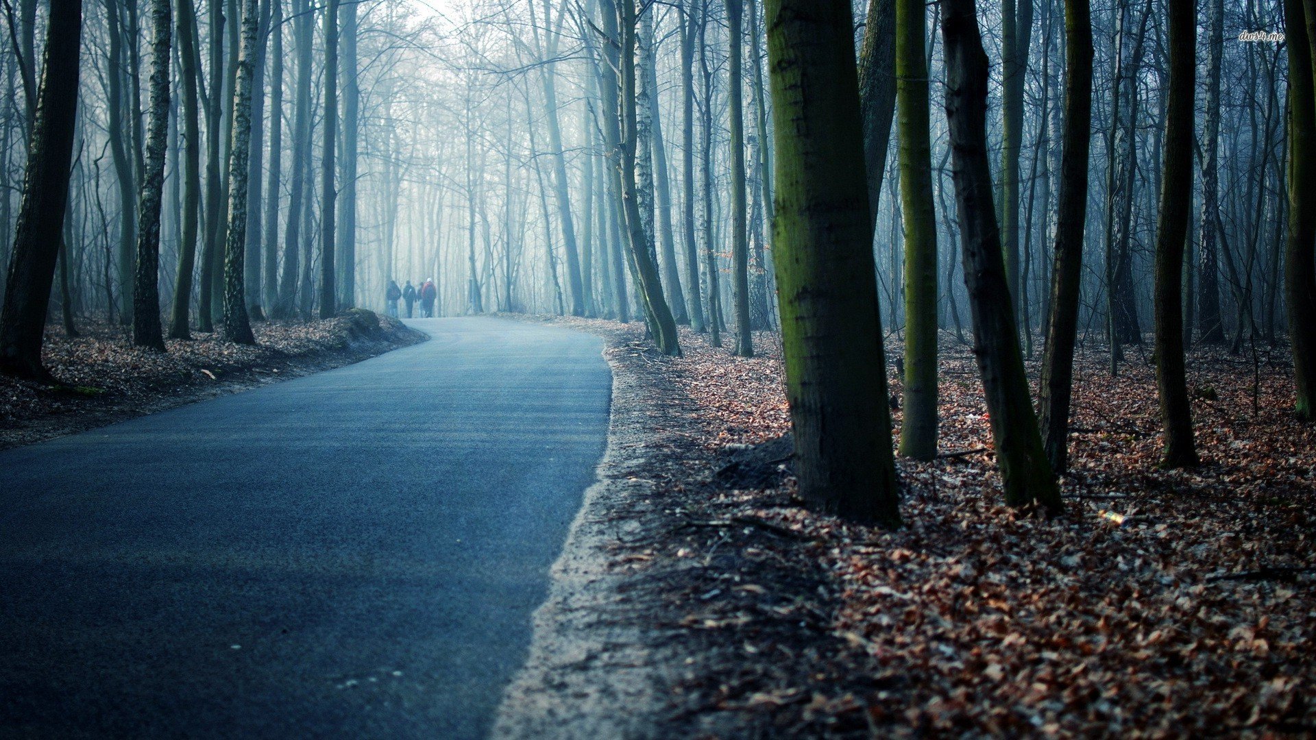风景,秋意正浓,儿童桌面专用