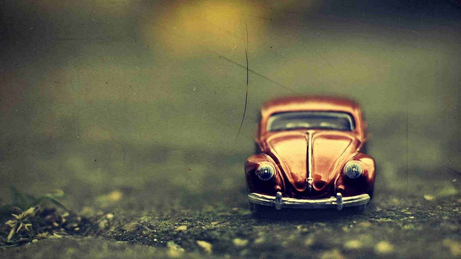 小清新,静物写真