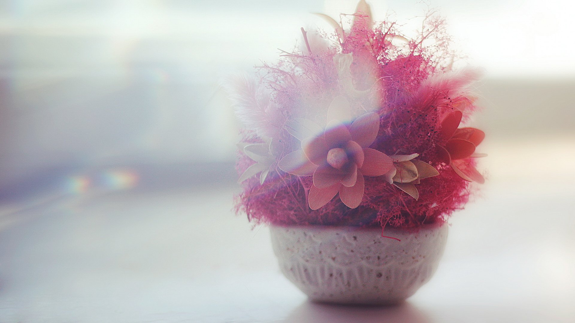 小清新,静物写真,儿童桌面专用