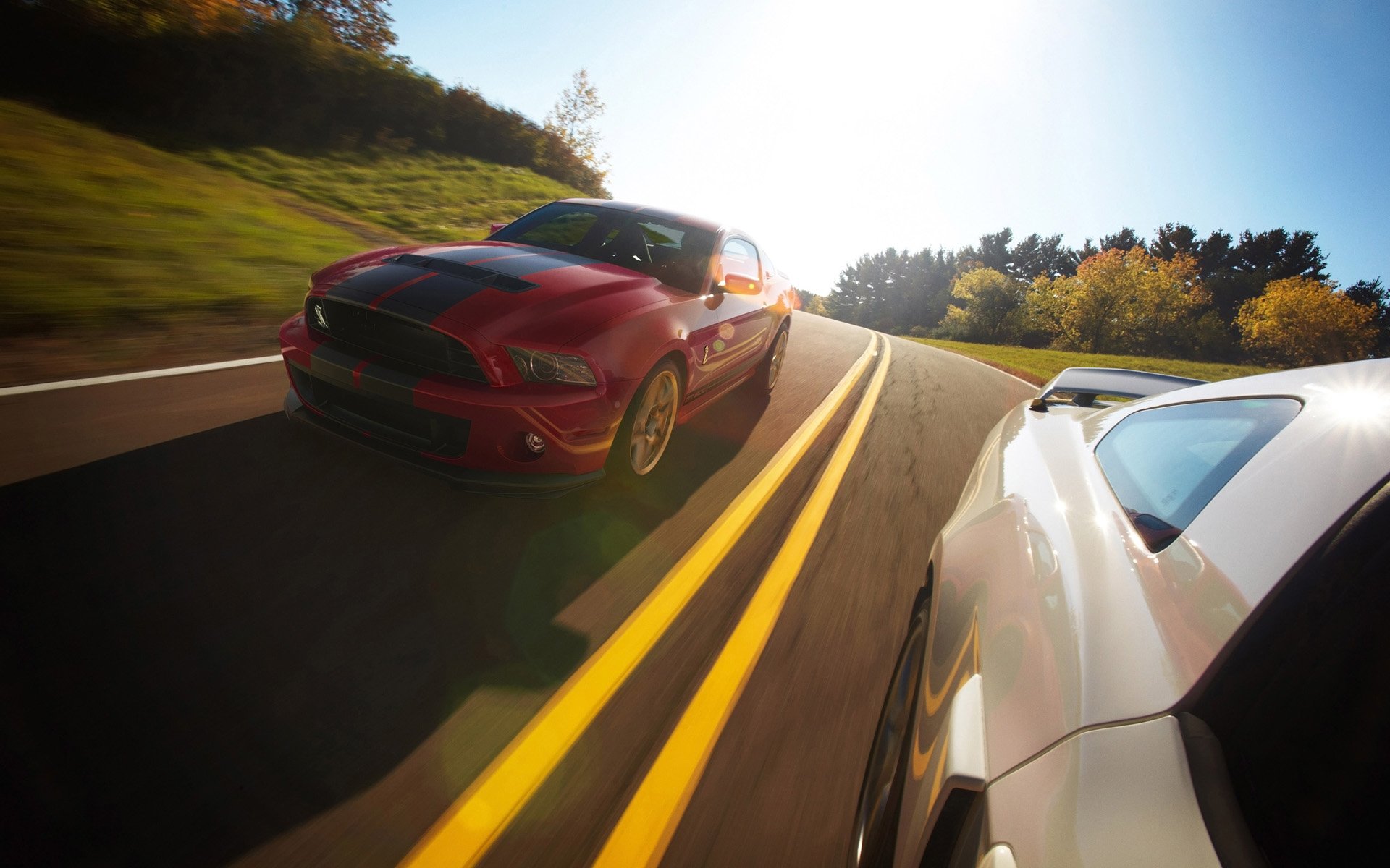 汽车,福特,儿童桌面专用