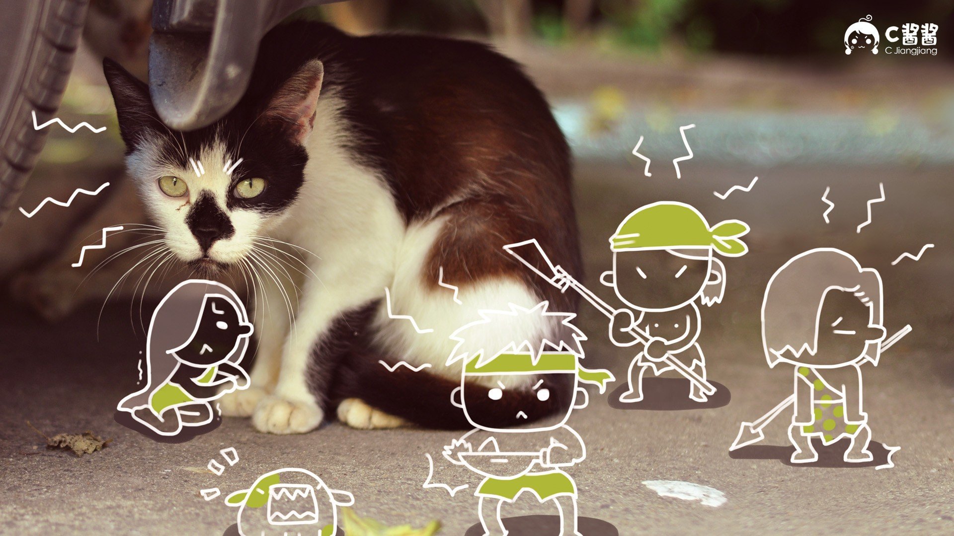 萌宠,喵星人,猫,C酱酱,儿童桌面专用