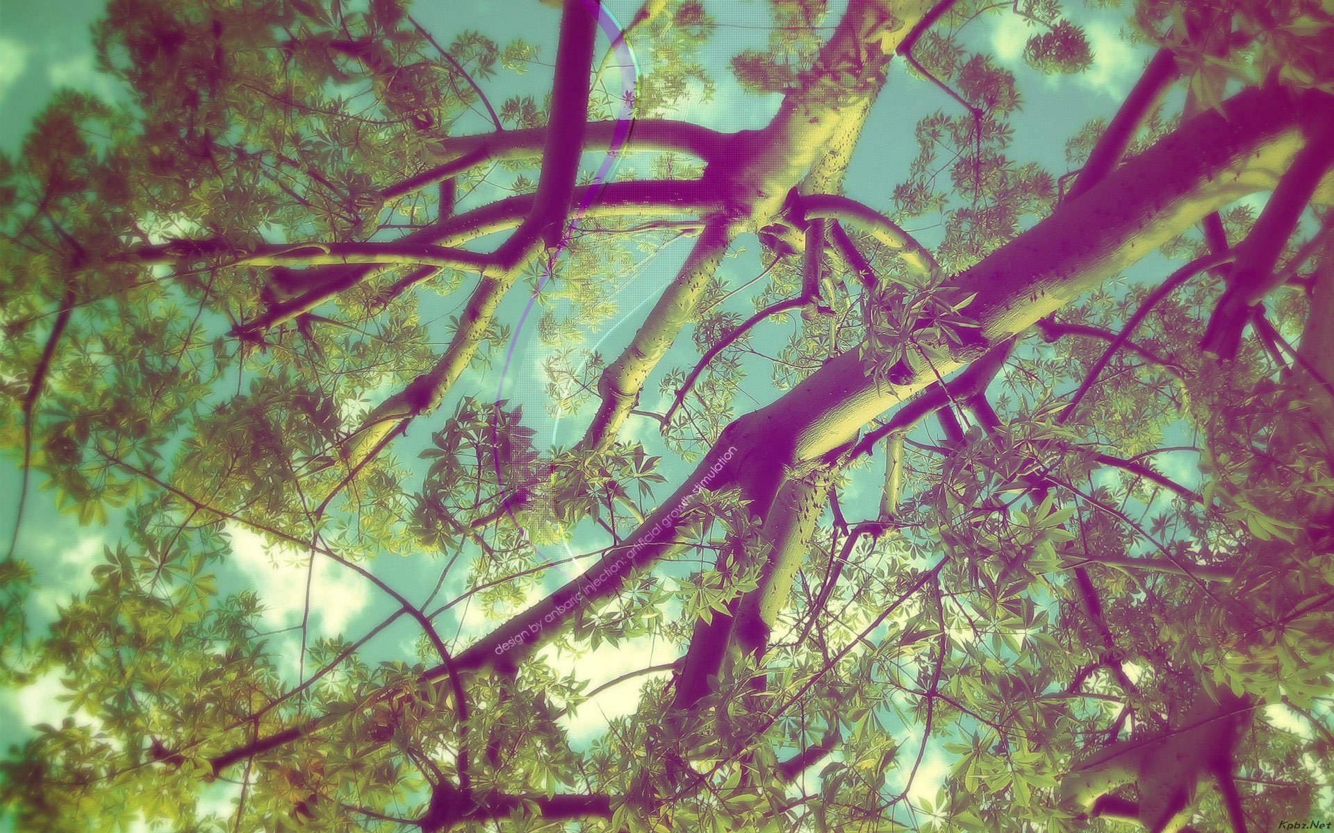 风景,清凉一夏,儿童桌面专用