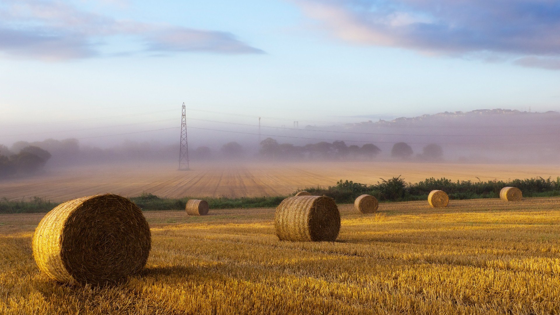 风景,秋意正浓,草卷,儿童桌面专用