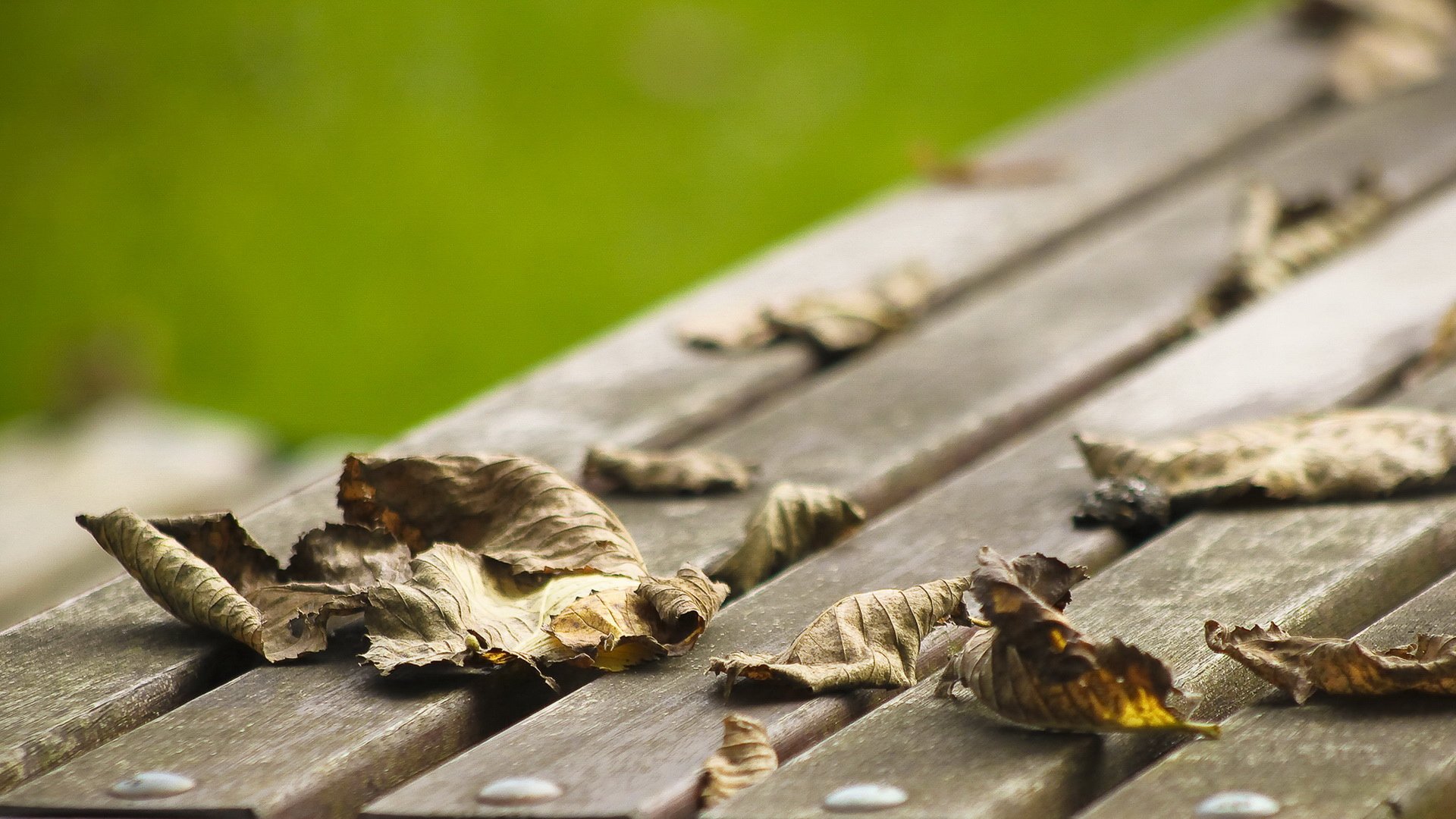 小清新,静物写真,儿童桌面专用