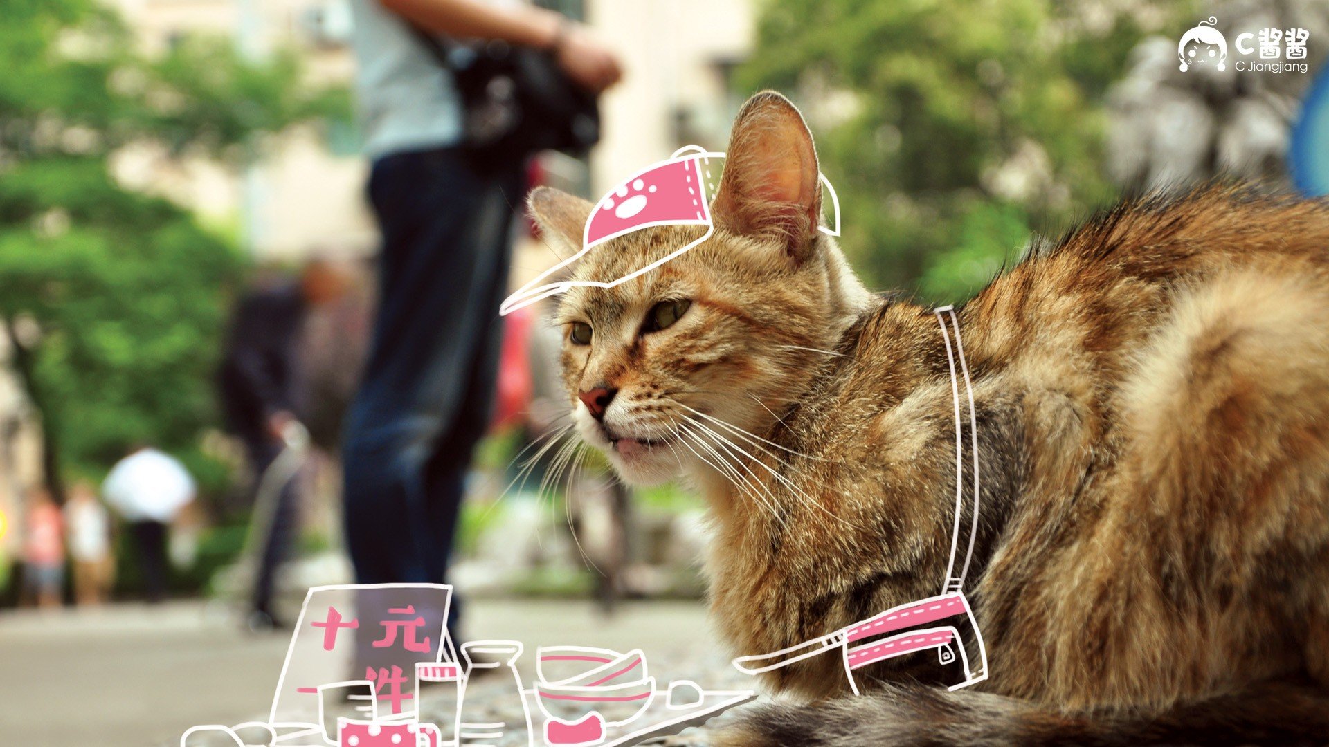 萌宠,喵星人,猫咪,C酱酱,儿童桌面专用