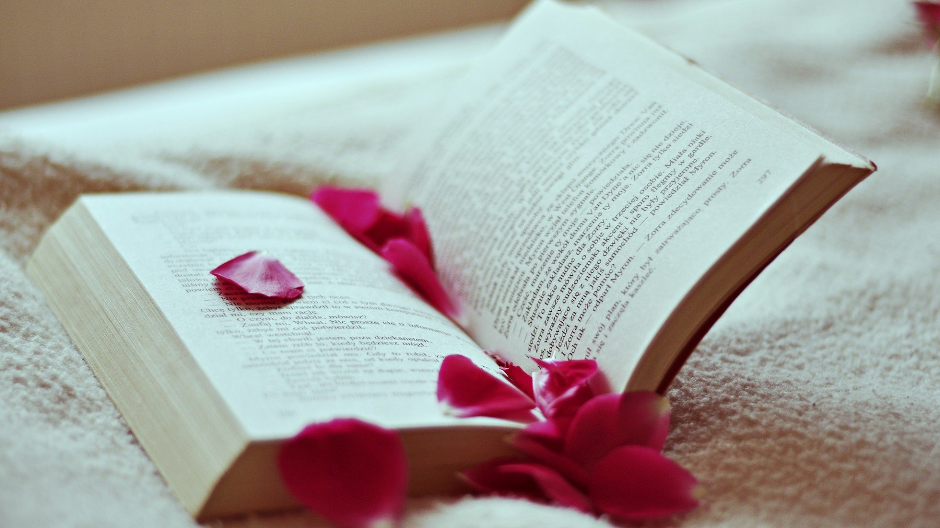 爱情美图,唯美温馨,玫瑰书本