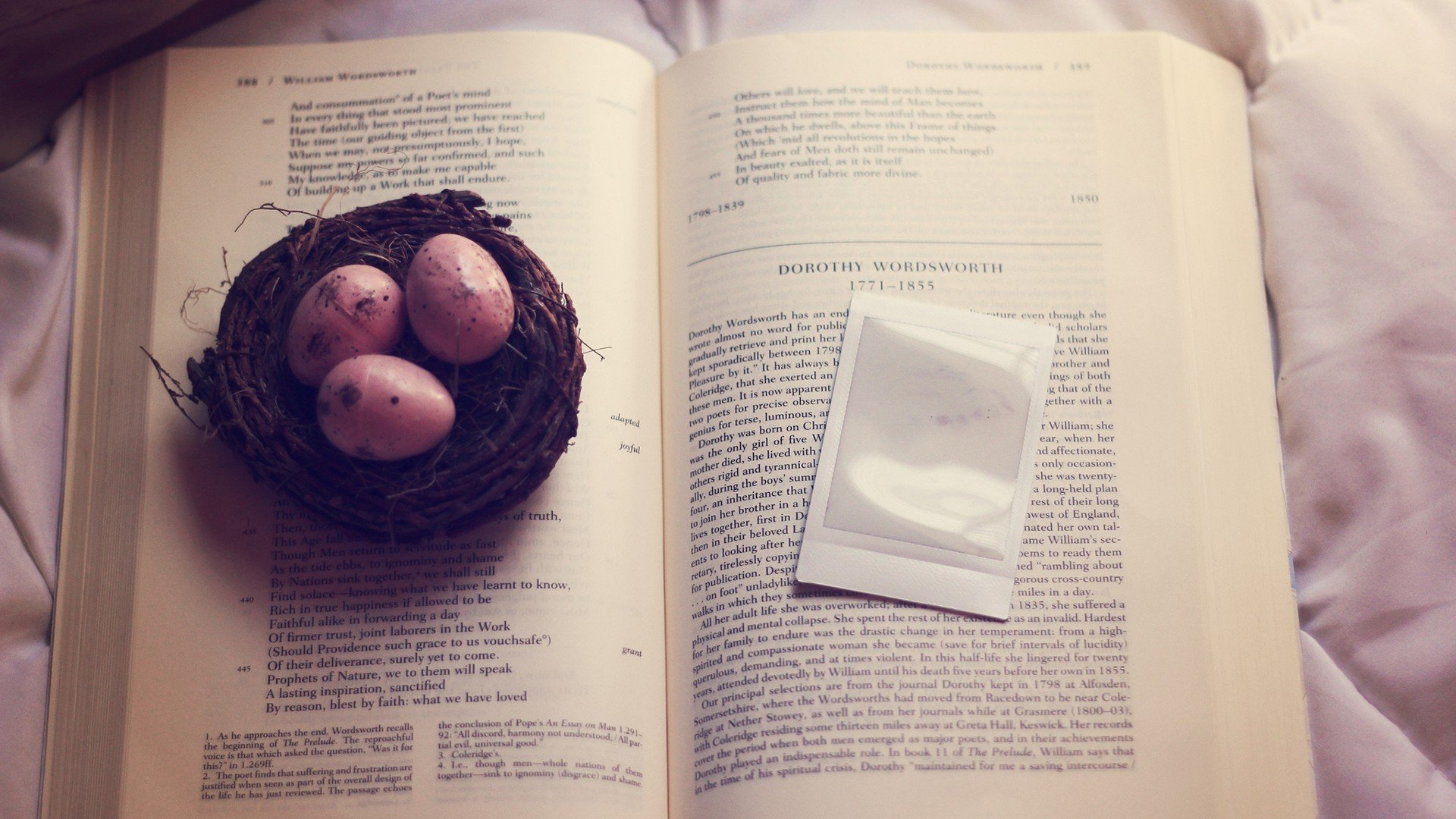 小清新,清新淡雅,书,儿童桌面专用