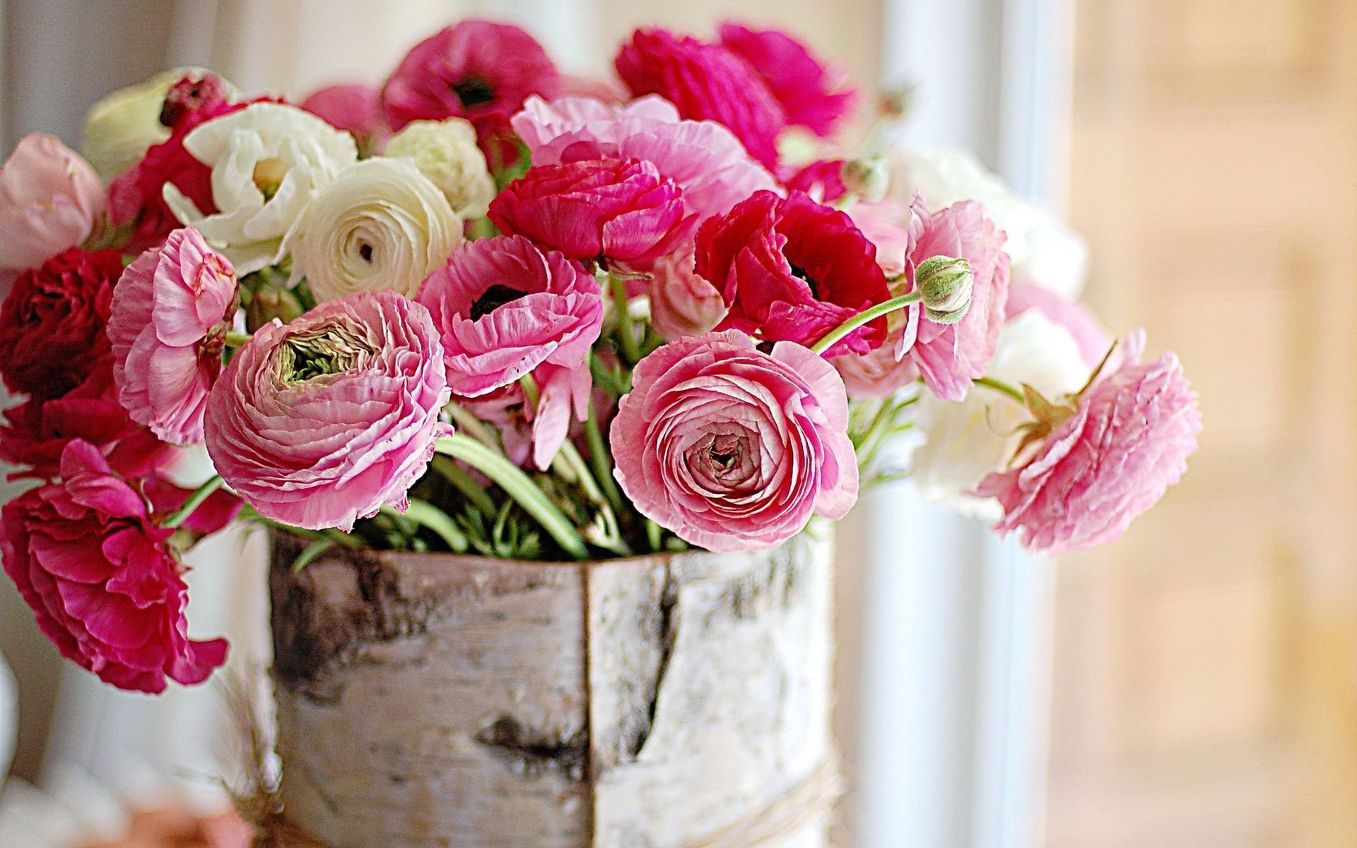 小清新,静物写真,花,儿童桌面专用