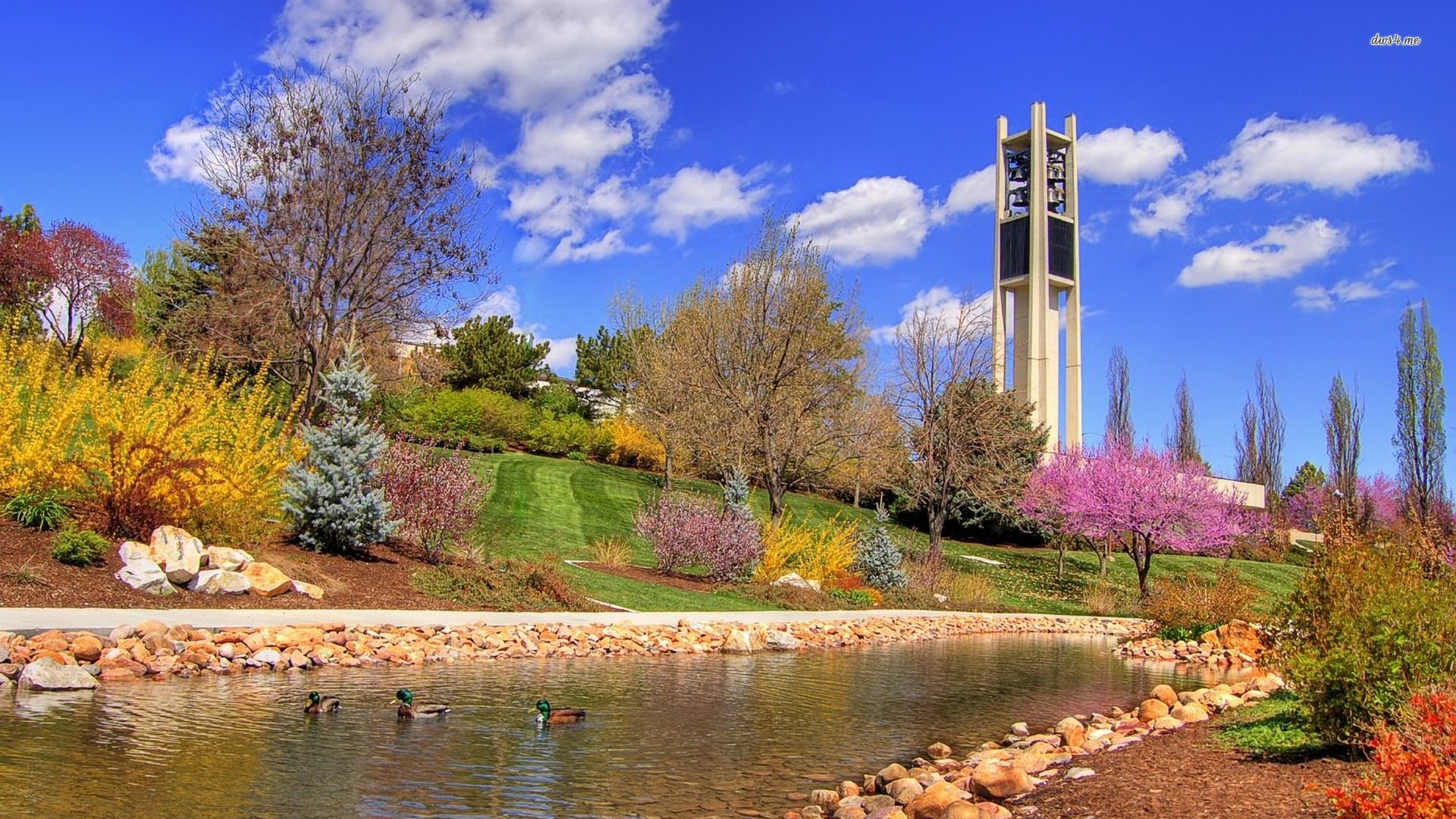 风景,秋意正浓,儿童桌面专用