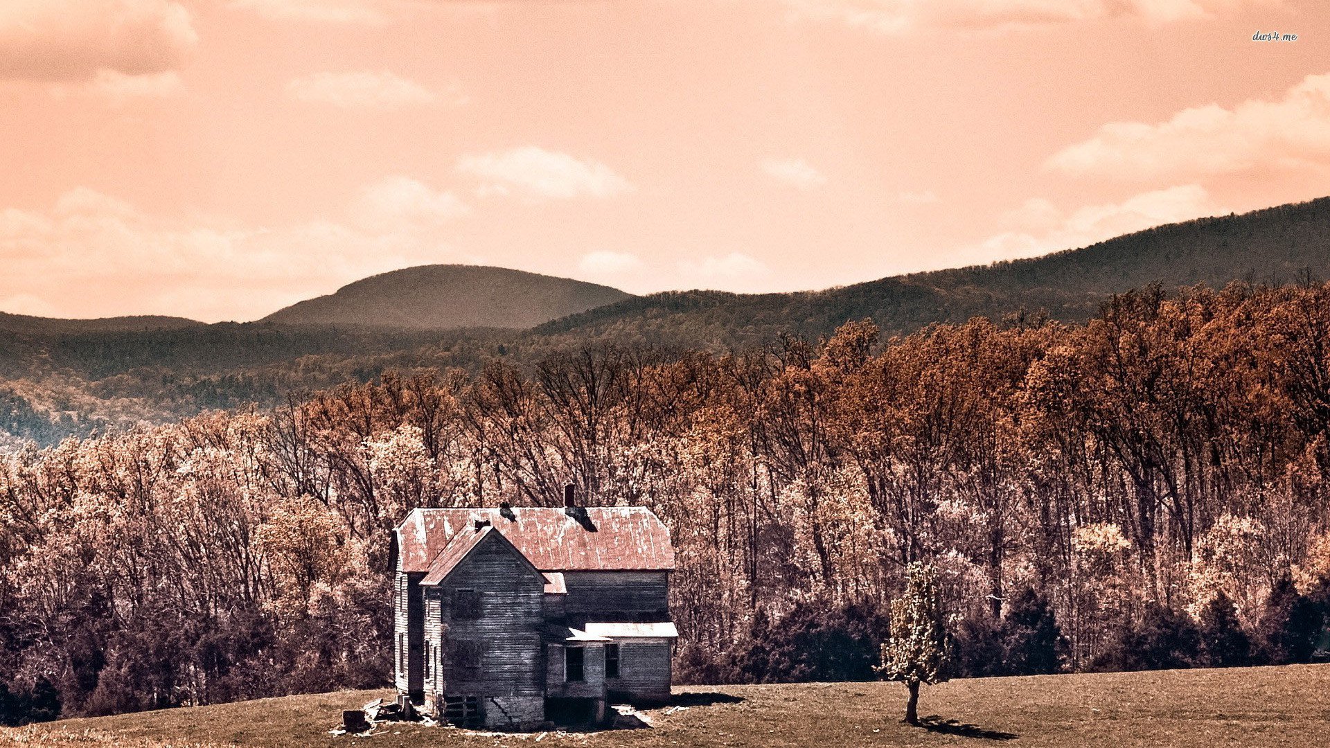 风景,秋意正浓,儿童桌面专用