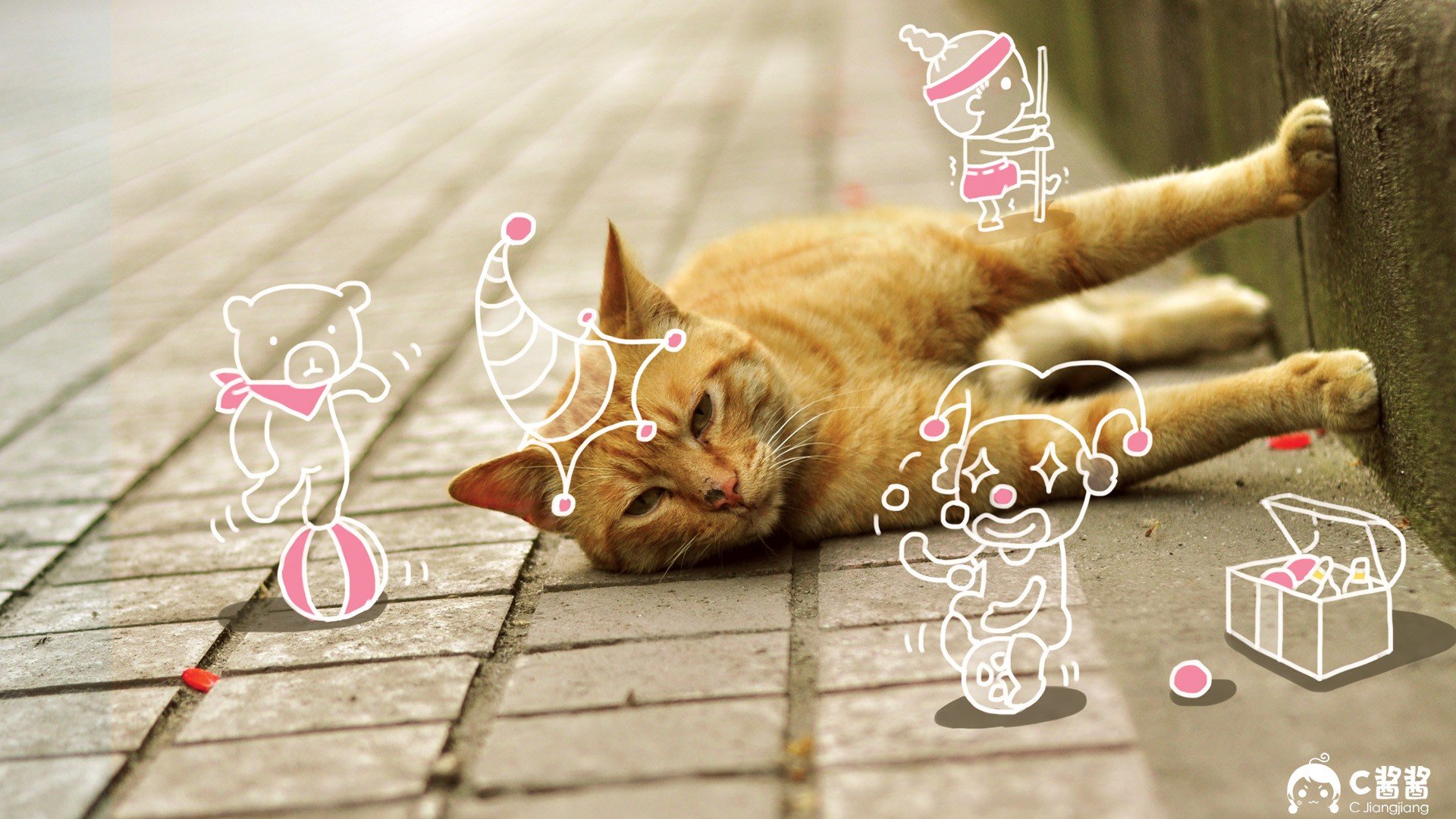 萌宠,喵星人,猫咪,C酱酱,儿童桌面专用