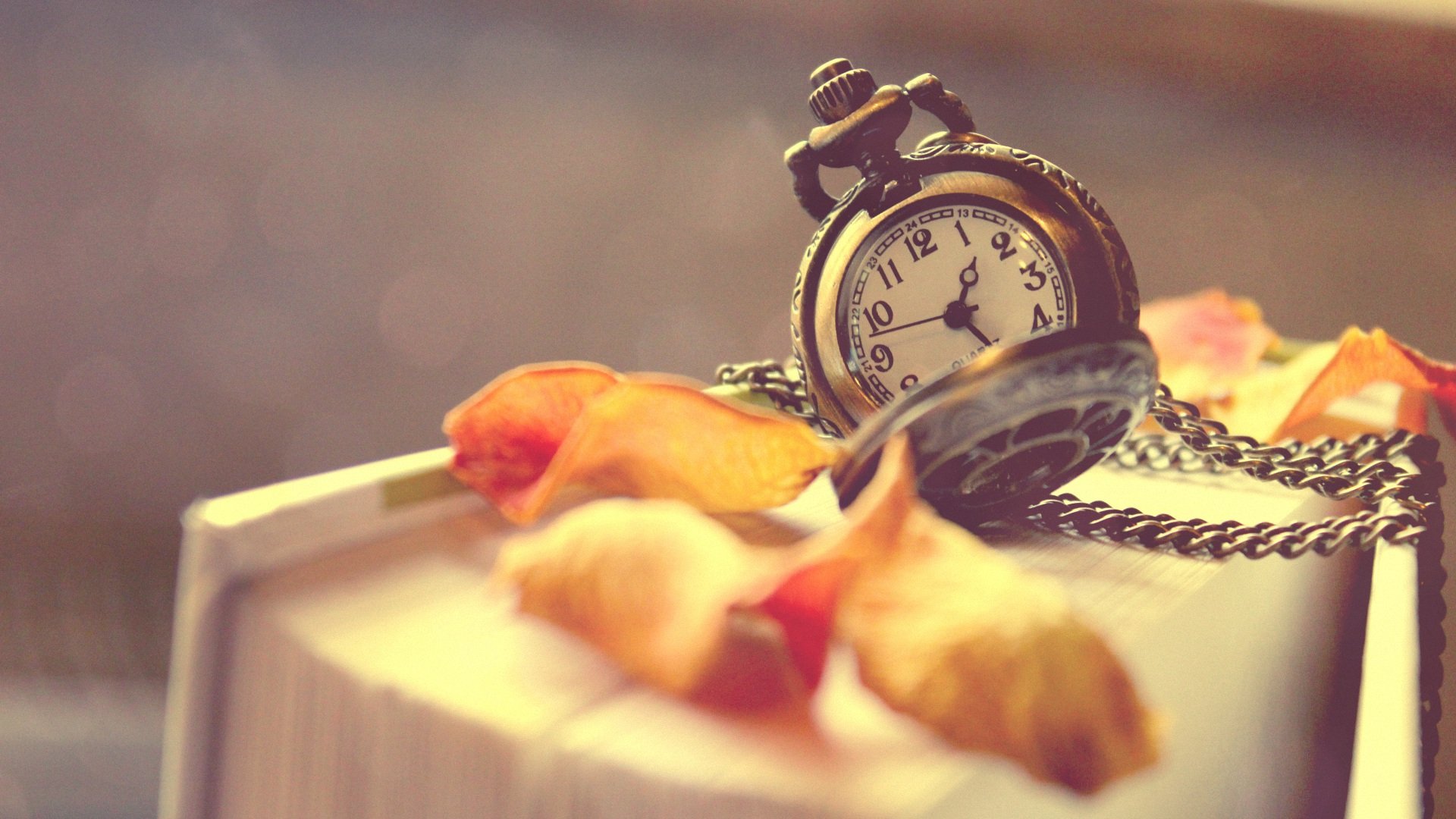 小清新,静物写真,儿童桌面专用