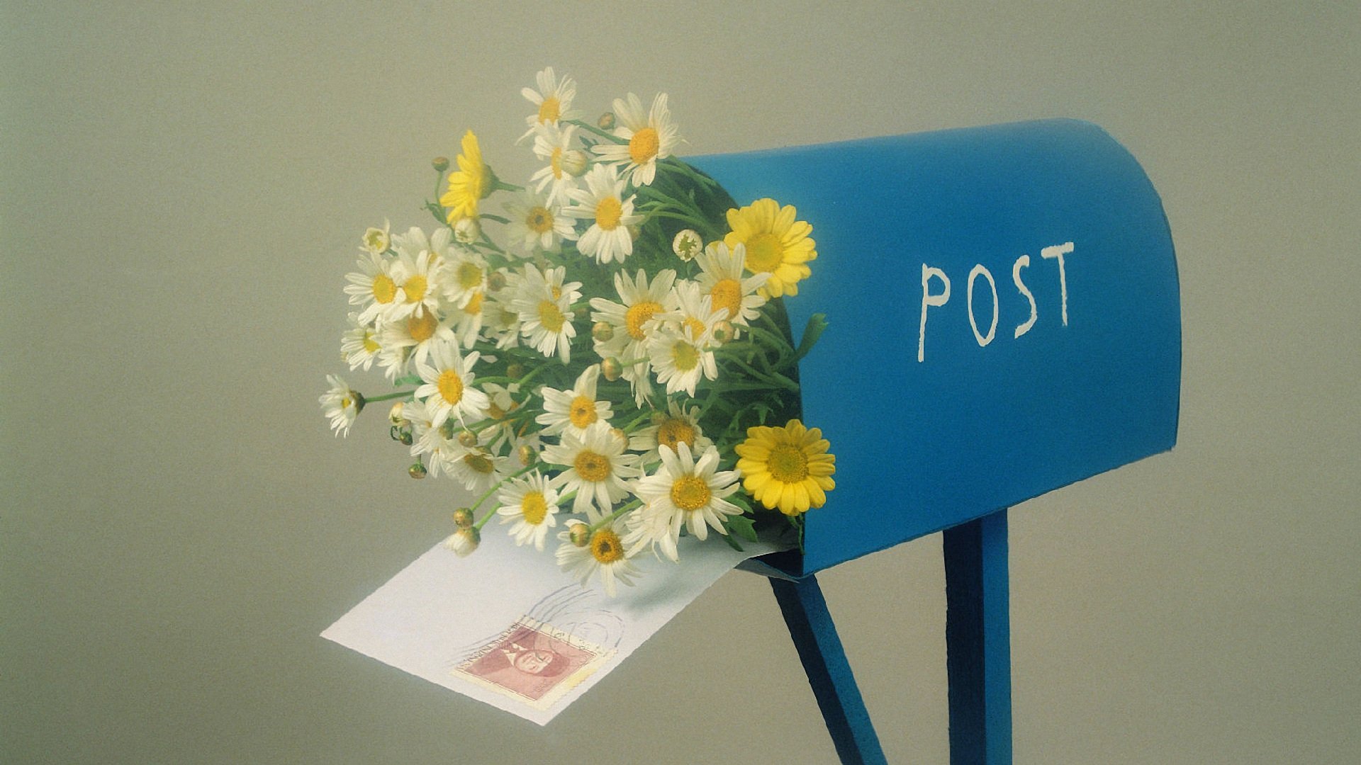 小清新,静物写真,儿童桌面专用