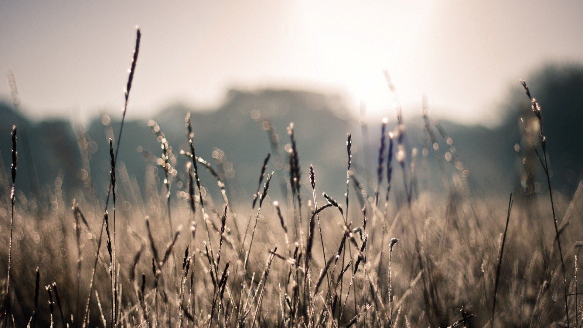 小清新,清新淡雅,儿童桌面专用