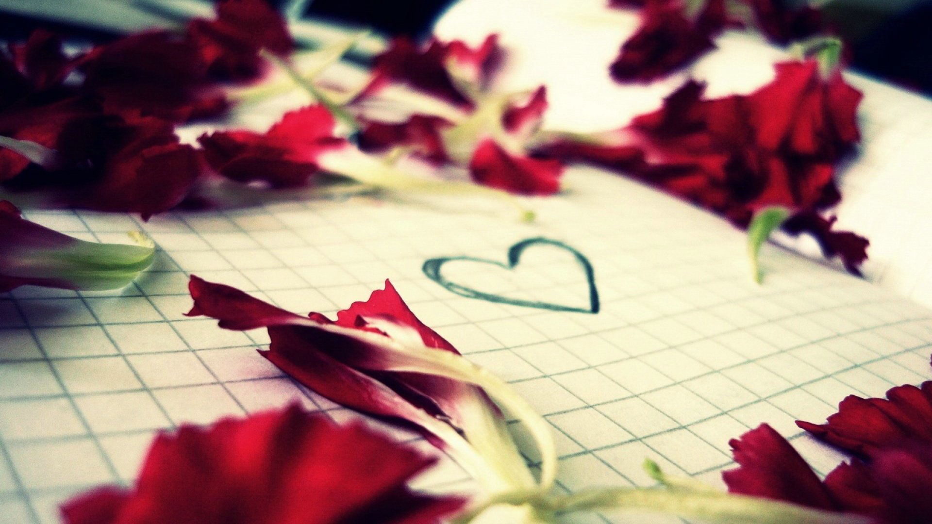 爱情美图,唯美温馨