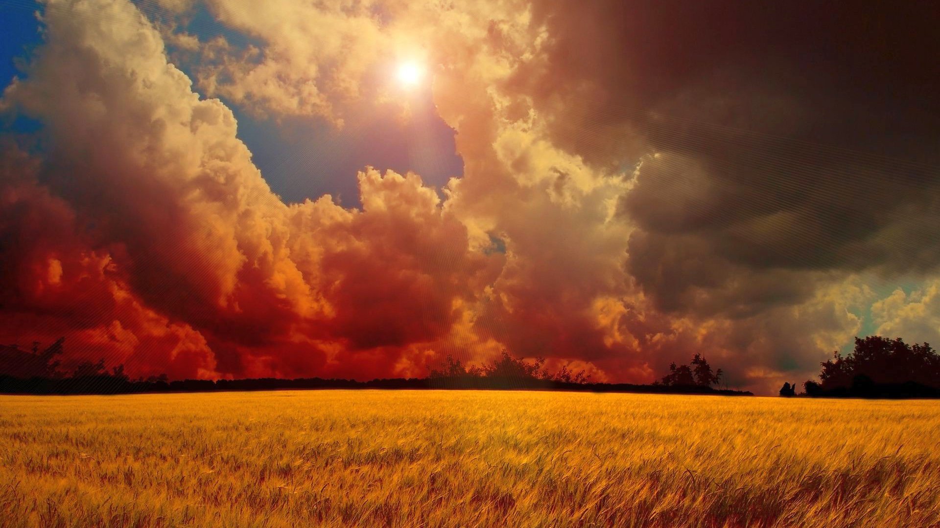 风景,落日余晖,儿童桌面专用