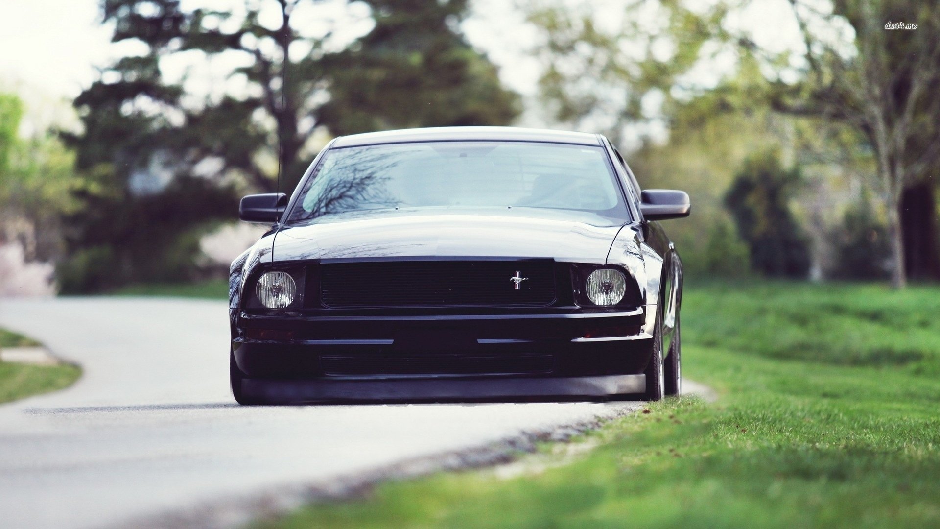 汽车,福特,儿童桌面专用