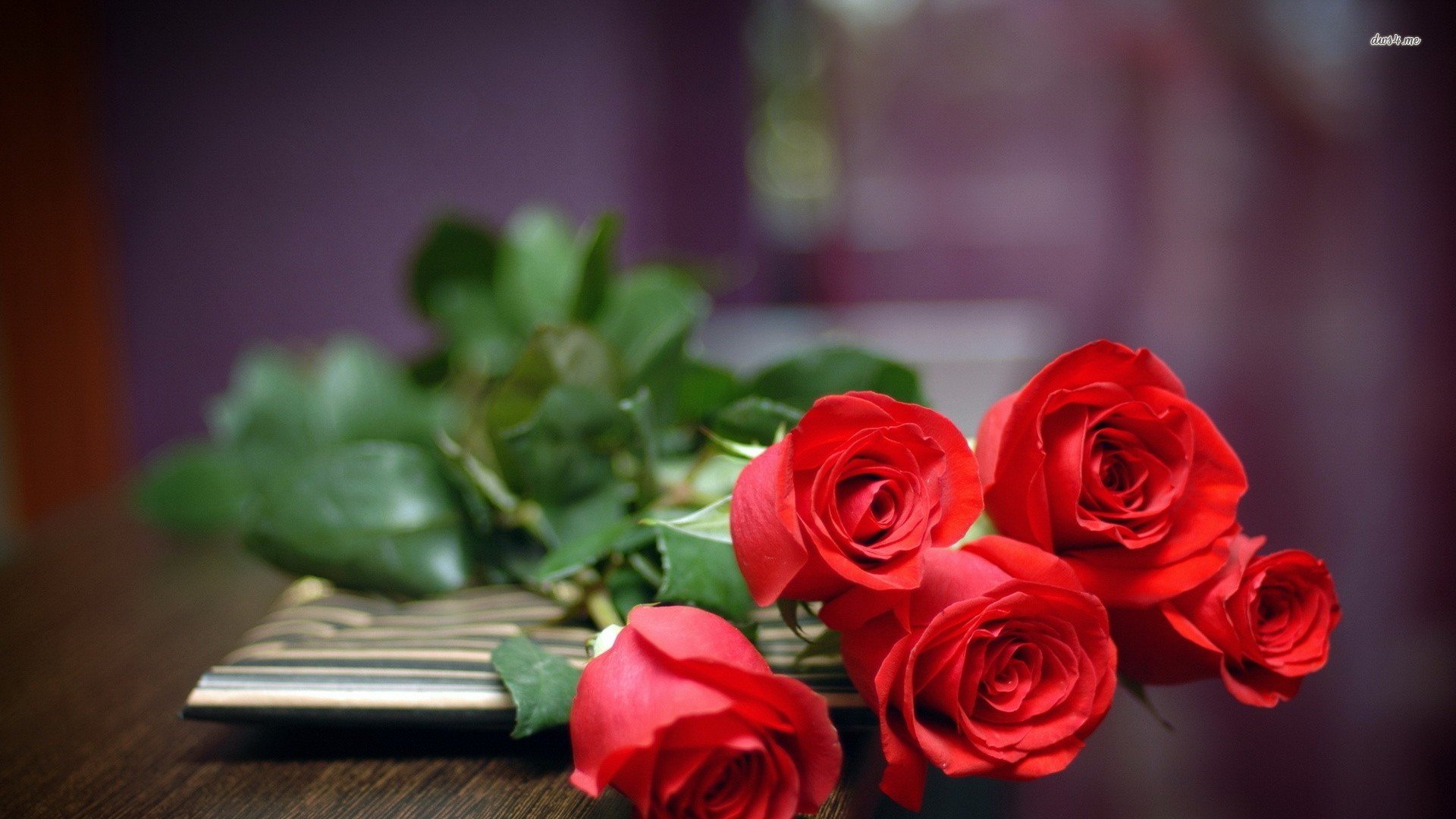 小清新,玫瑰,娇艳欲滴,儿童桌面专用