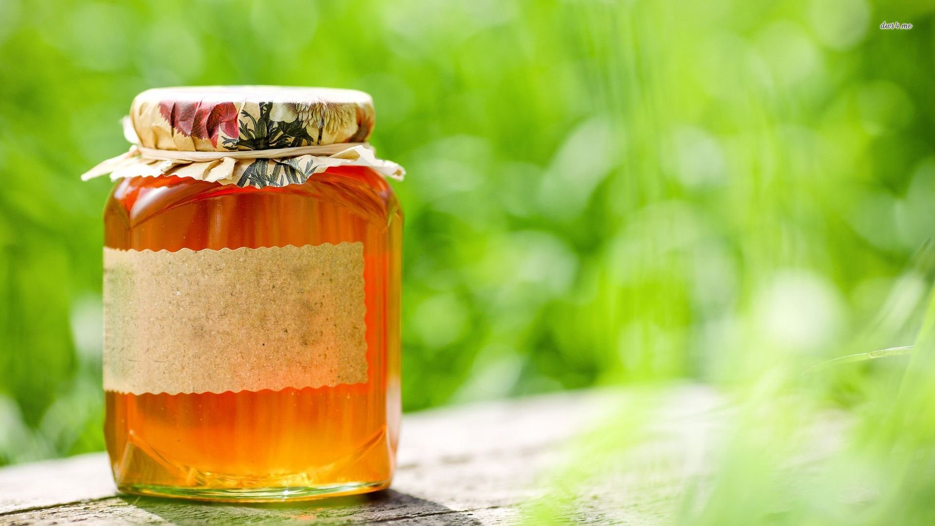 小清新,静物写真,儿童桌面专用