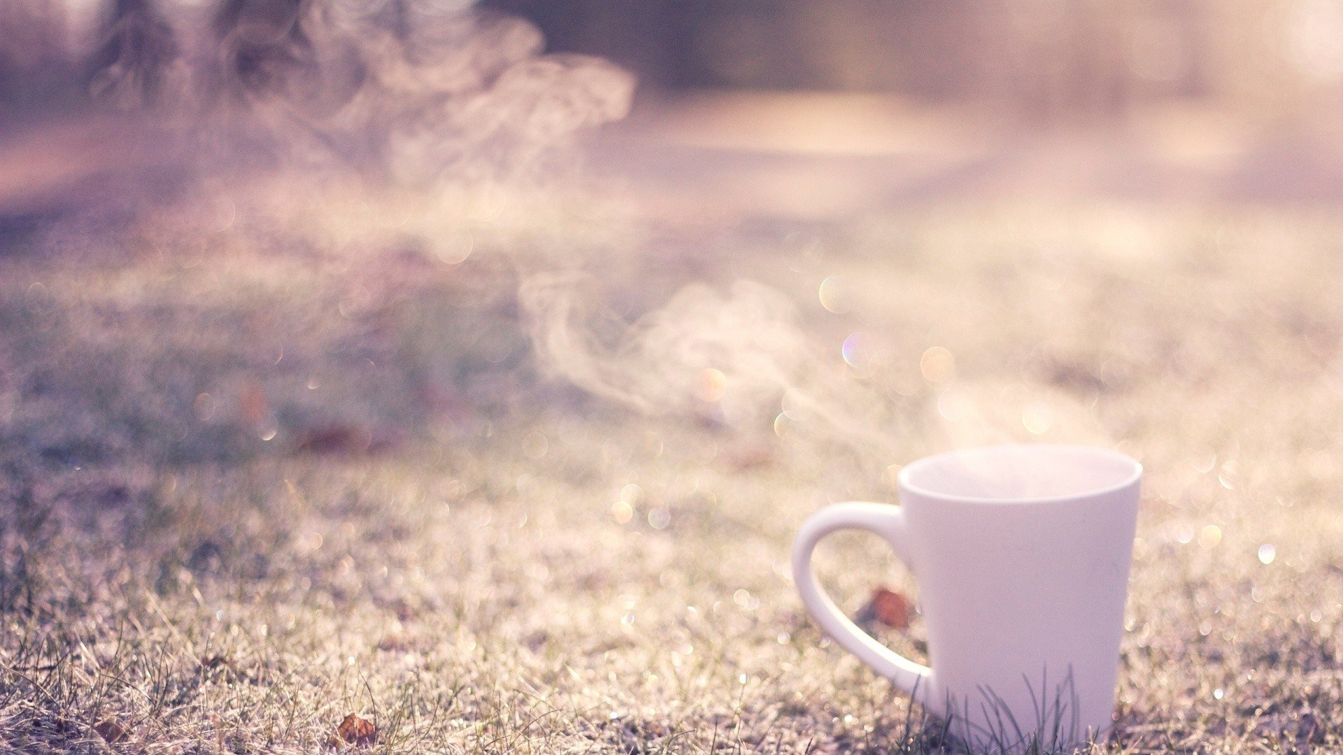 小清新,静物写真,茶杯,儿童桌面专用