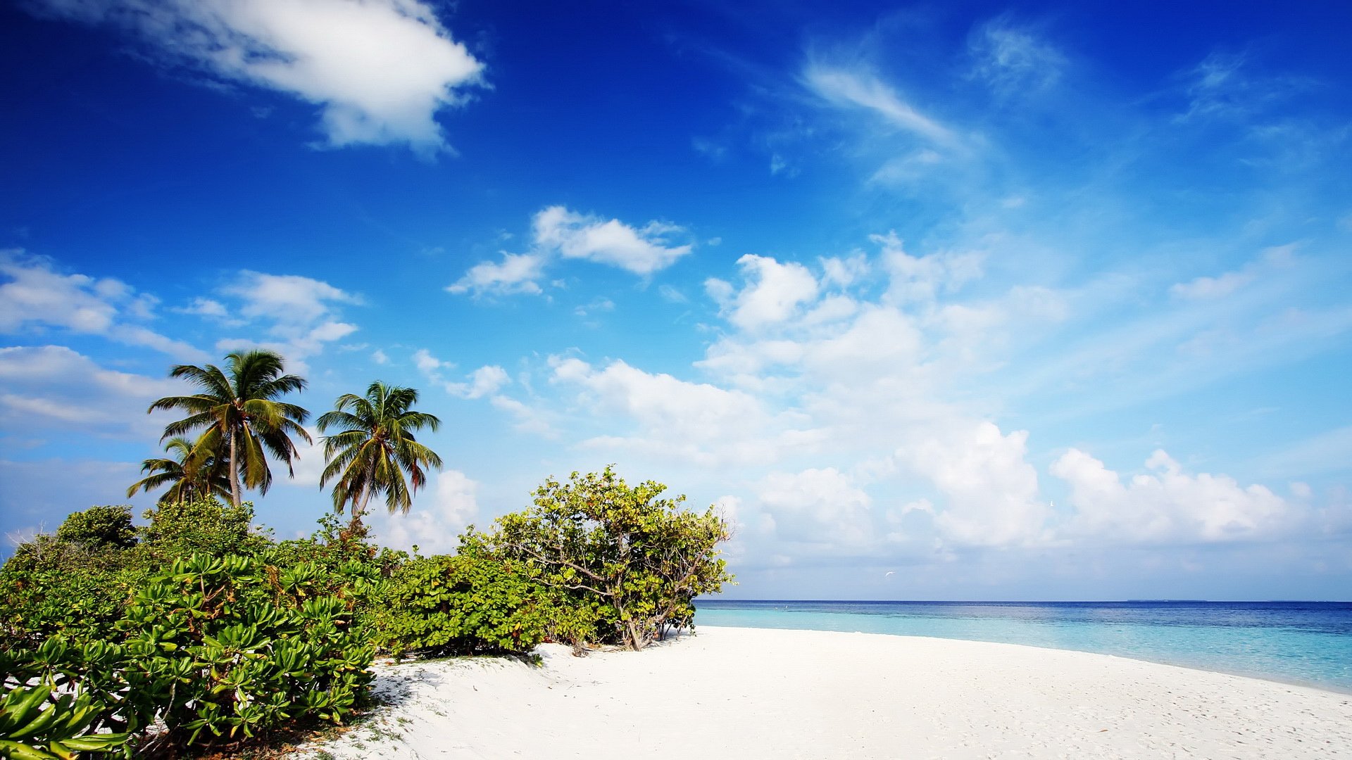 风景,旅游胜地,海洋,沙滩,儿童桌面专用