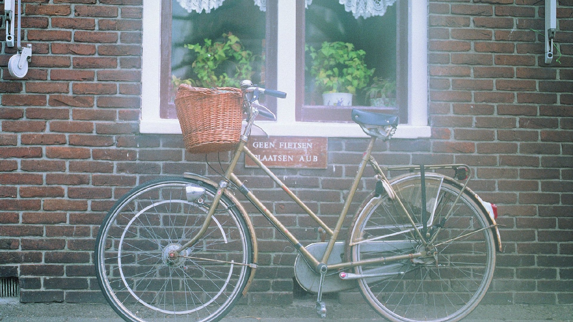 小清新,清新淡雅,儿童桌面专用