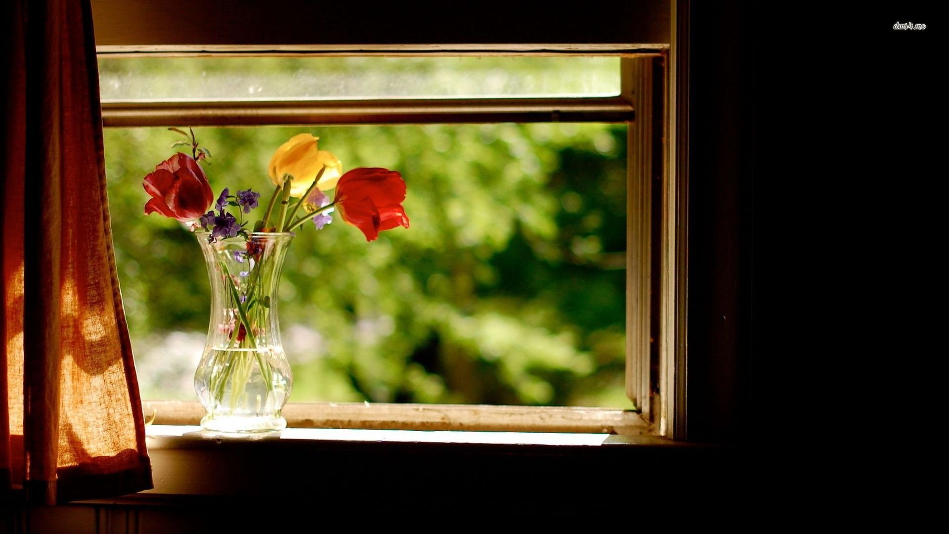 小清新,清新淡雅,儿童桌面专用