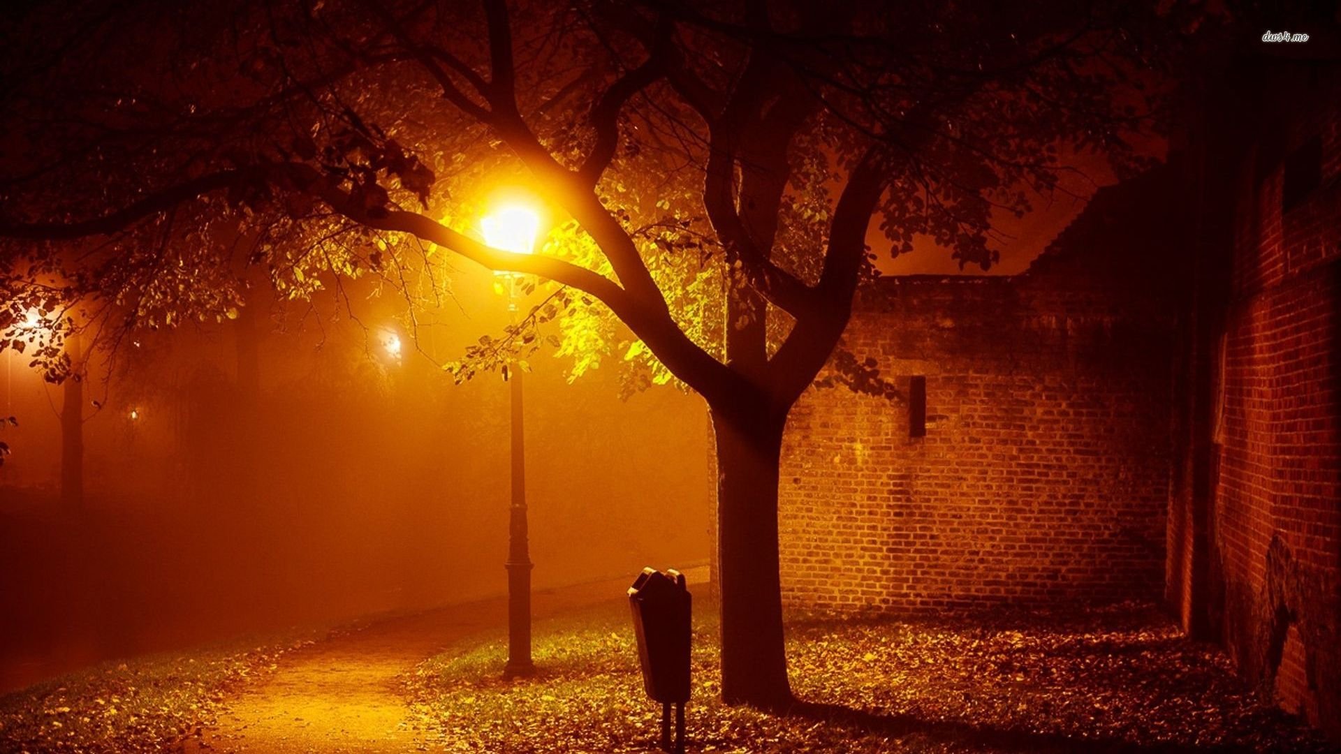 风景,城市夜景,儿童桌面专用