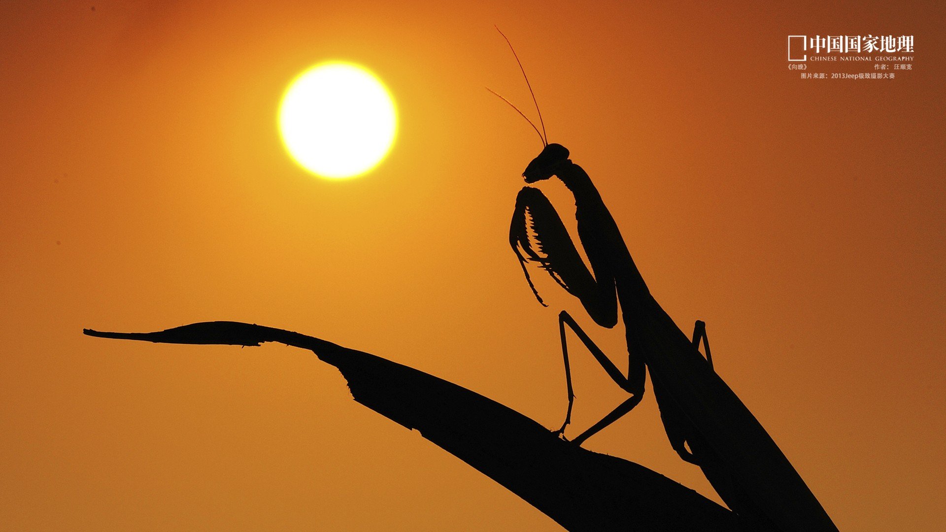 风景,国家地理,摄影,风光,自然风光,儿童桌面专用