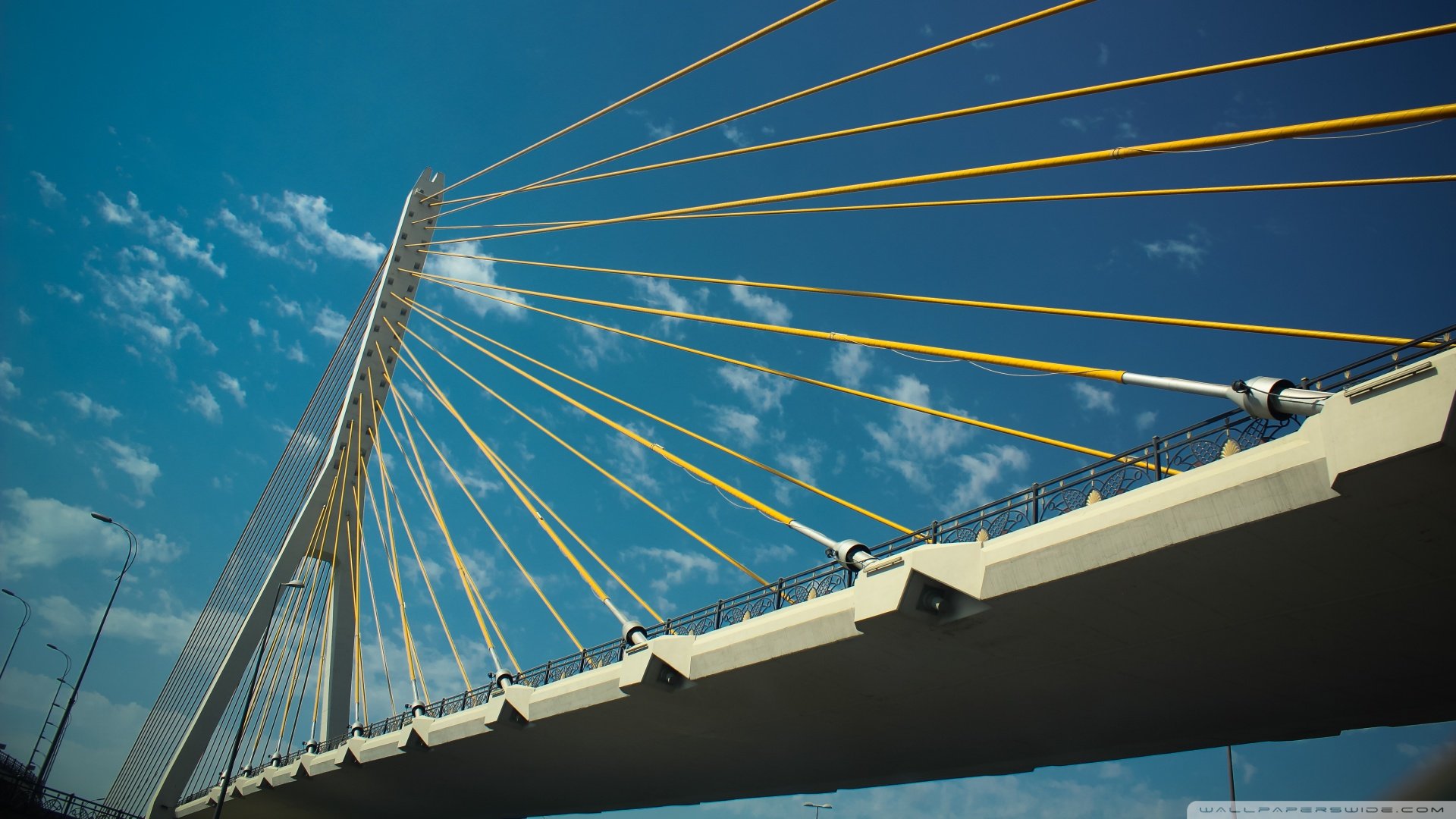 风景,城市,大桥,儿童桌面专用