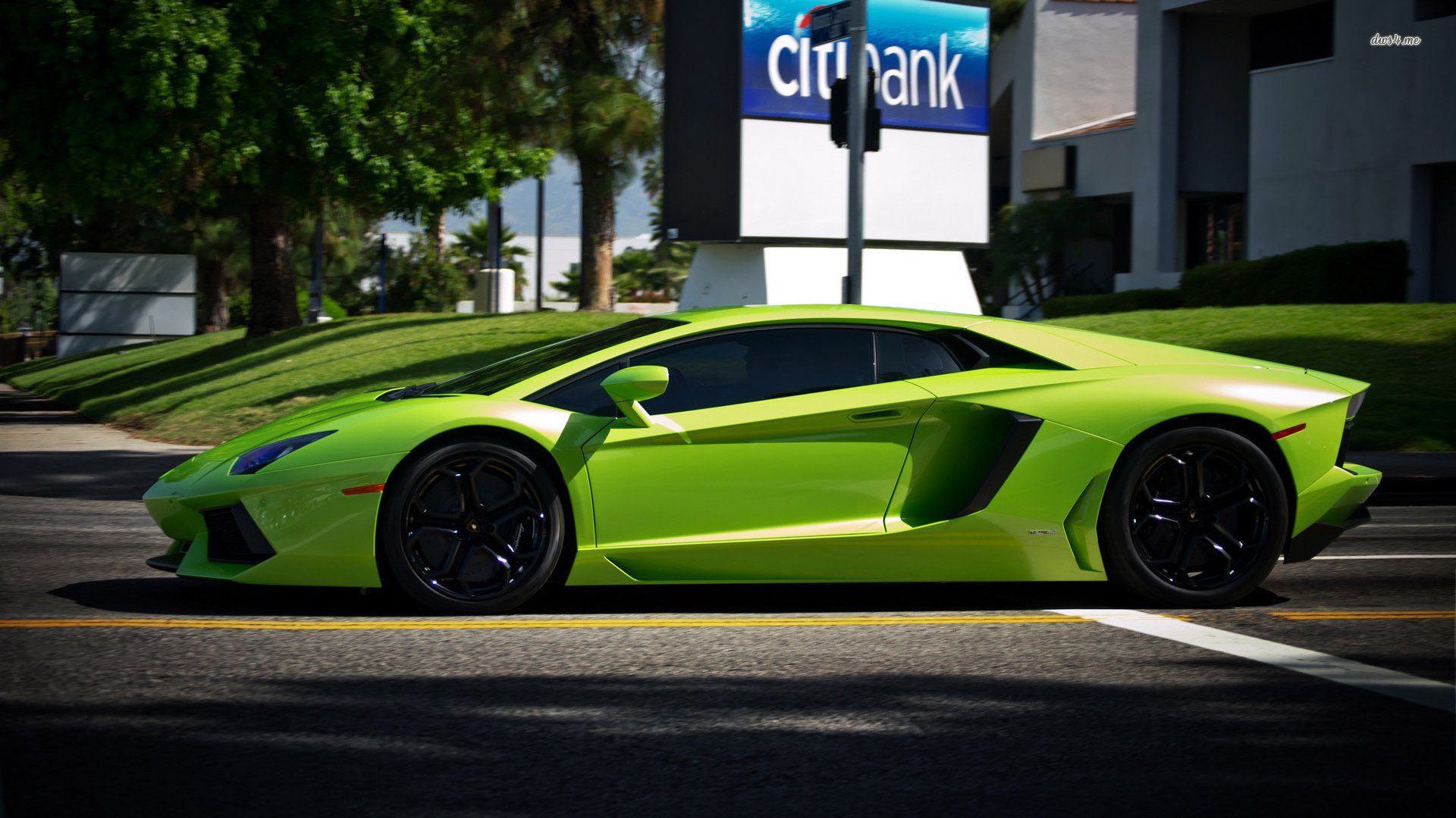 汽车,兰博基尼,儿童桌面专用