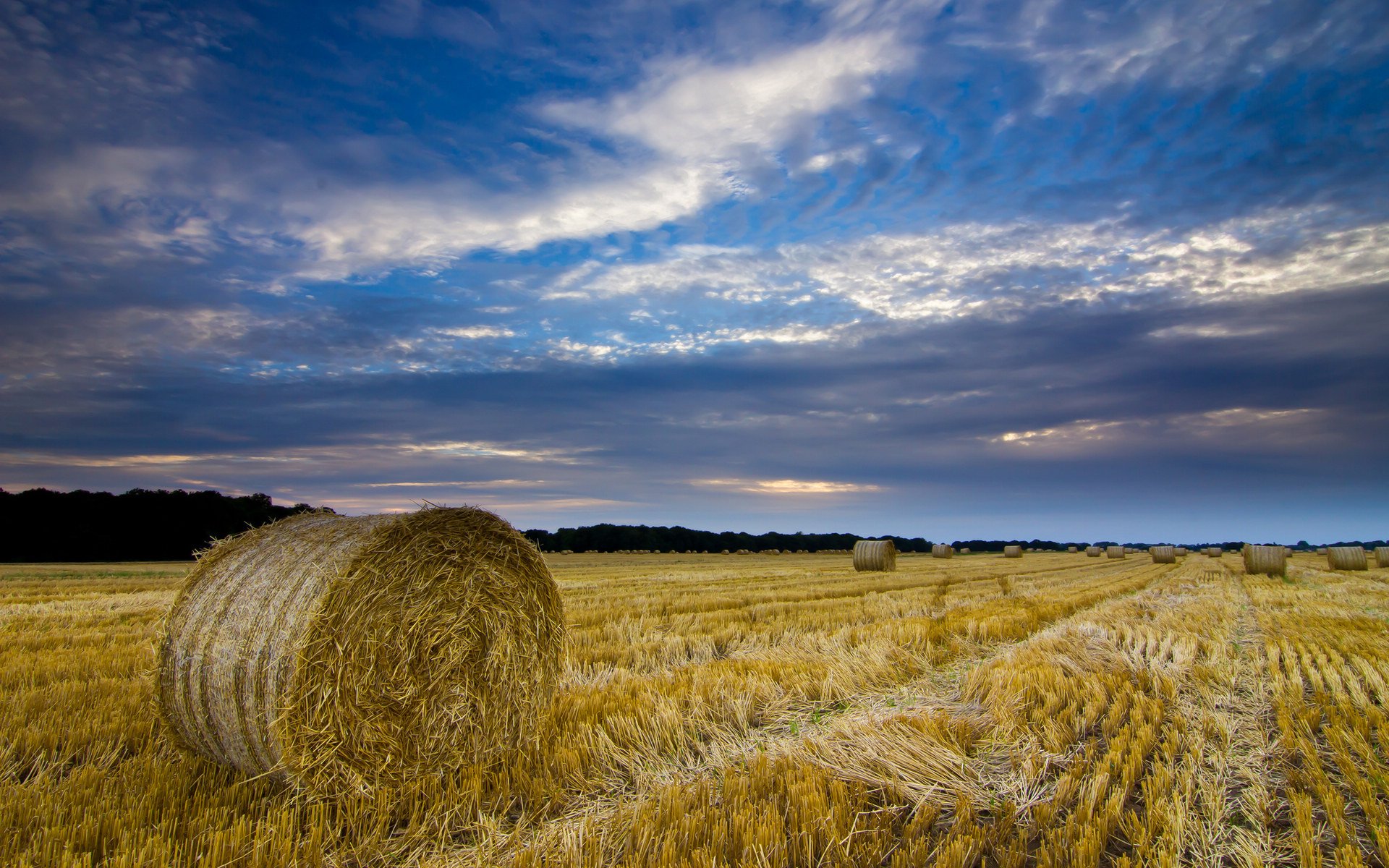风景,秋意正浓,草卷,儿童桌面专用