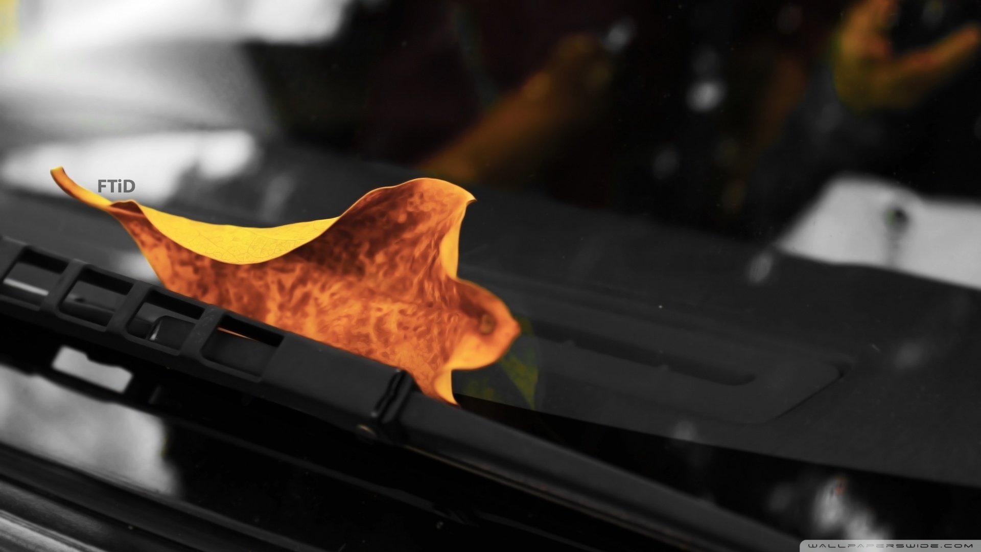 小清新,清新淡雅,儿童桌面专用