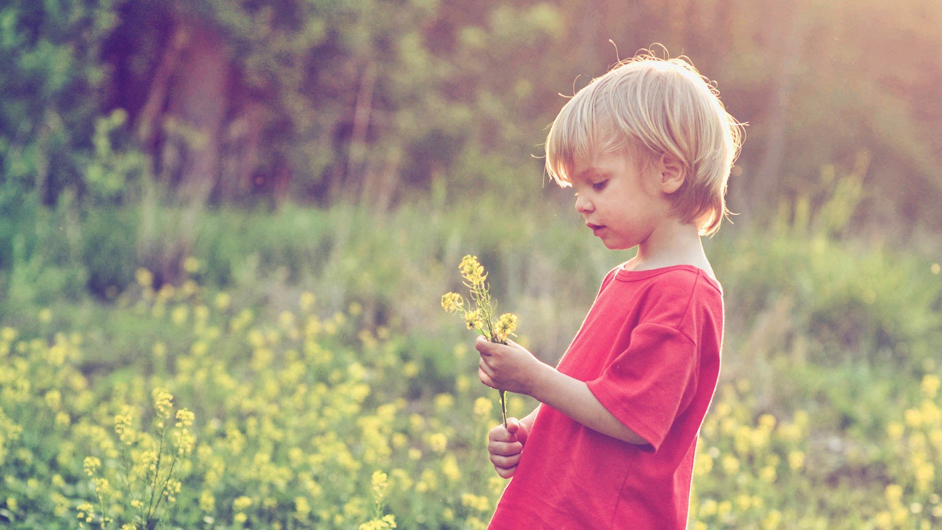 小清新,儿童,清新,写真,清新淡雅,儿童桌面专用