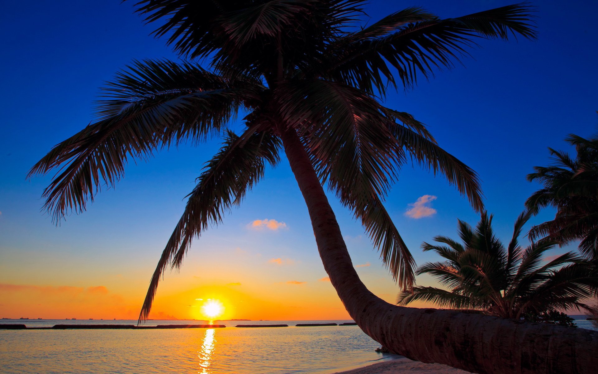 风景,旅游胜地,儿童桌面专用