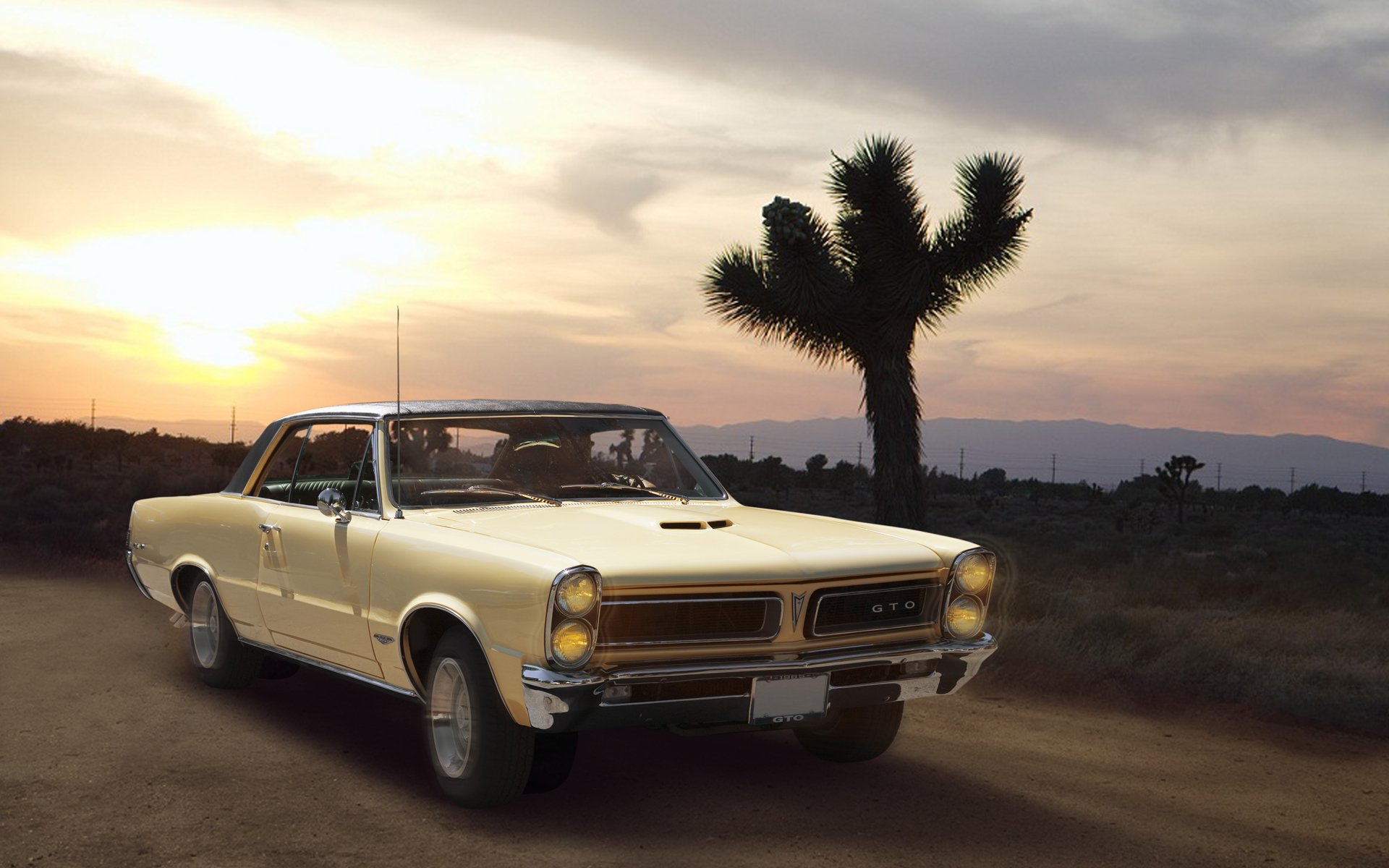 汽车,肌肉车,超跑,儿童桌面专用