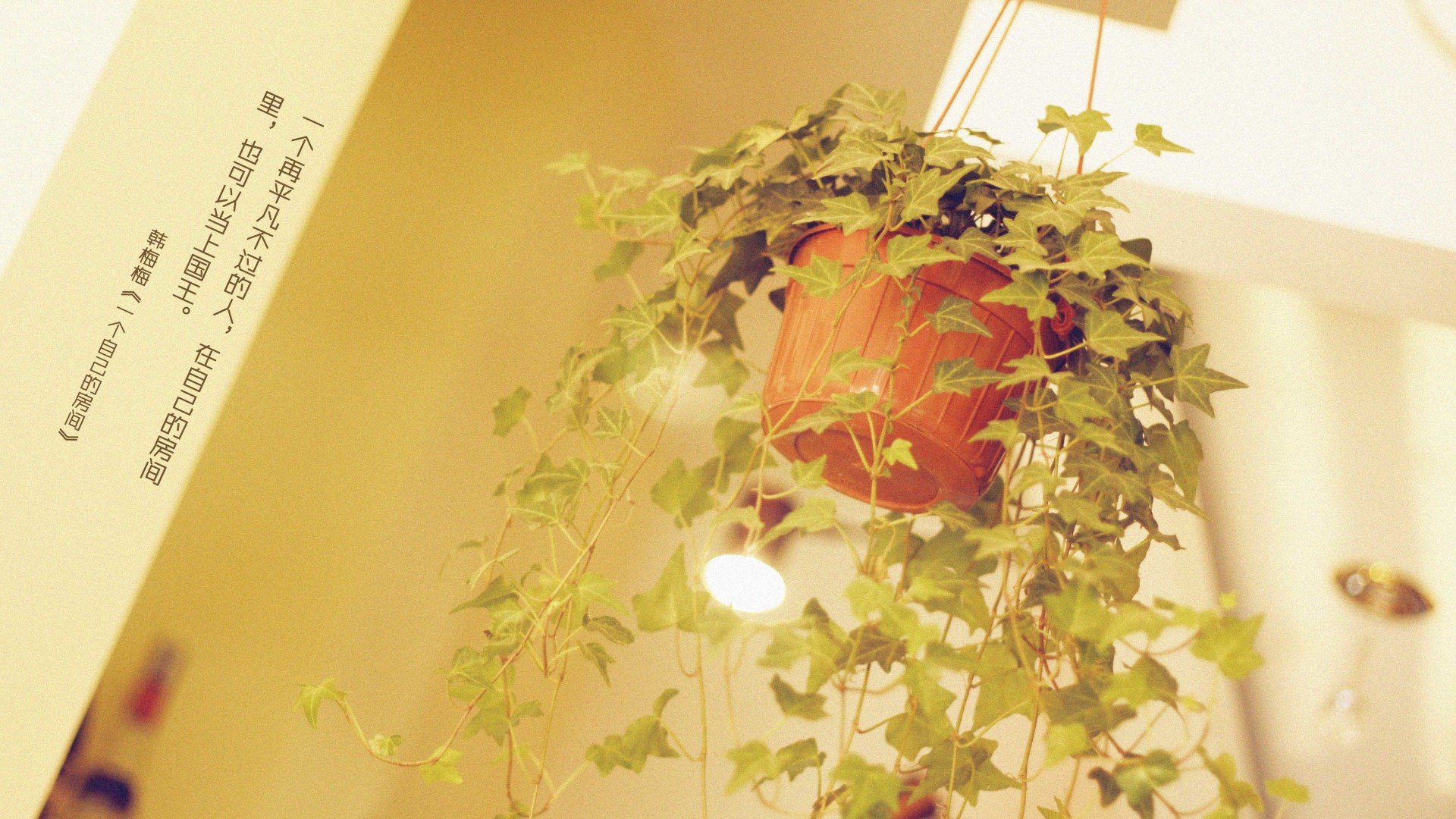 小清新,清新淡雅,儿童桌面专用