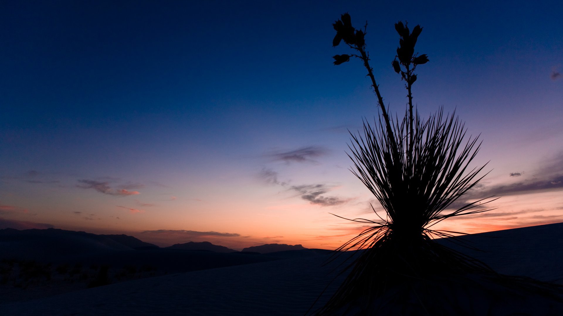 风景,落日,草原,儿童桌面专用