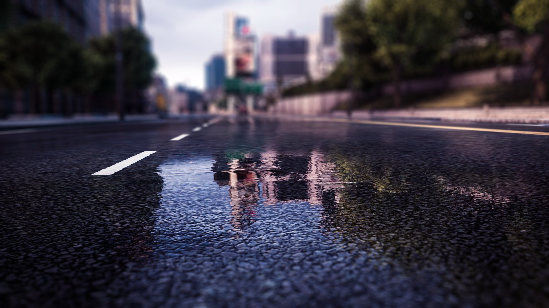 小清新,静物写真,积水,路,儿童桌面专用