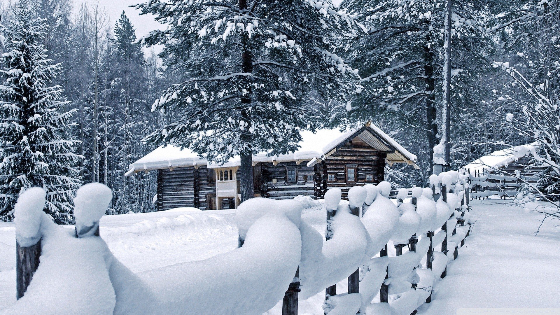 风景,冰天雪地,儿童桌面专用