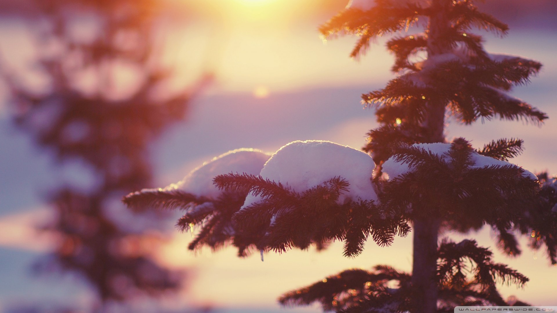 小清新,清新淡雅,儿童桌面专用