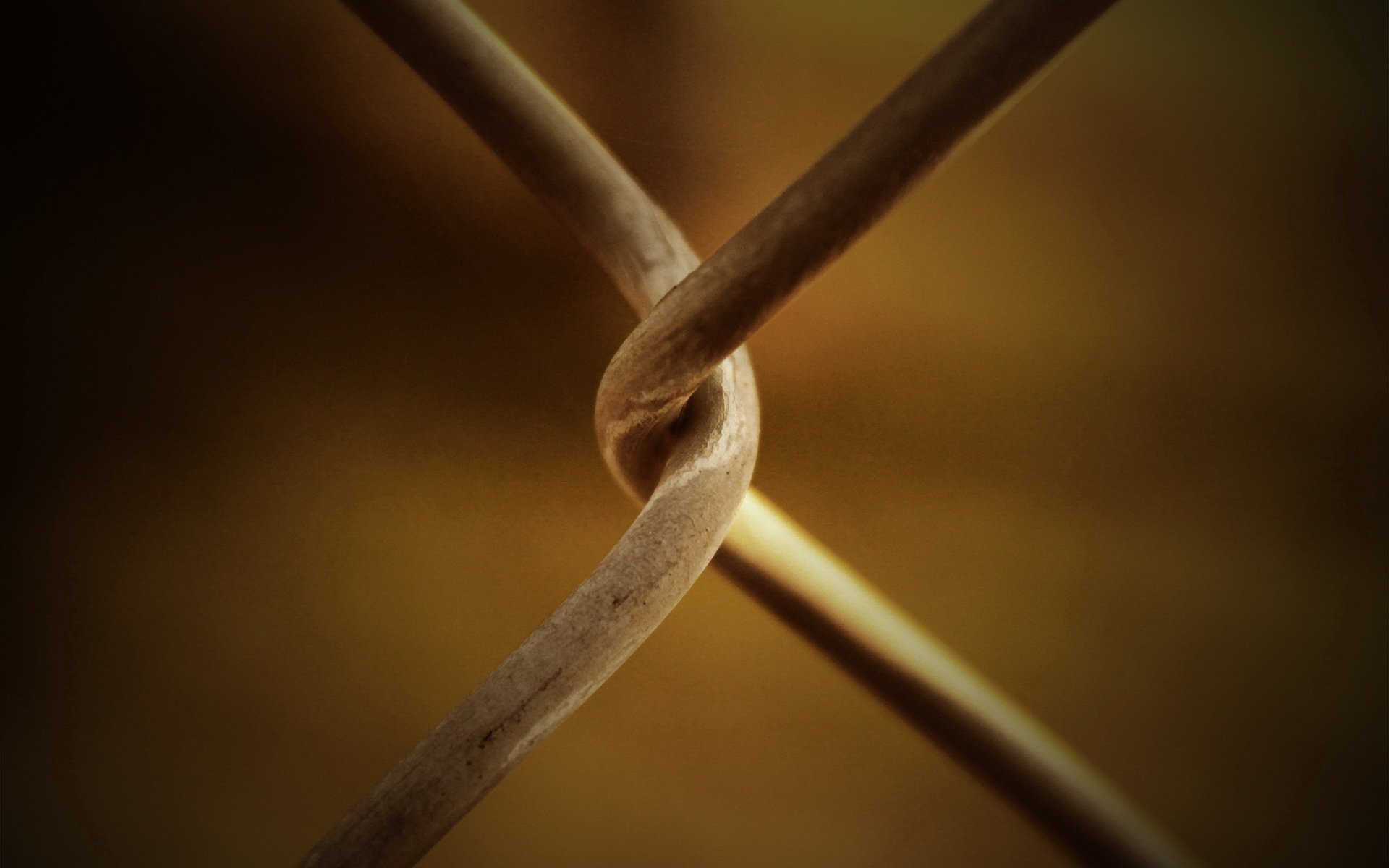 小清新,静物写真,铁丝