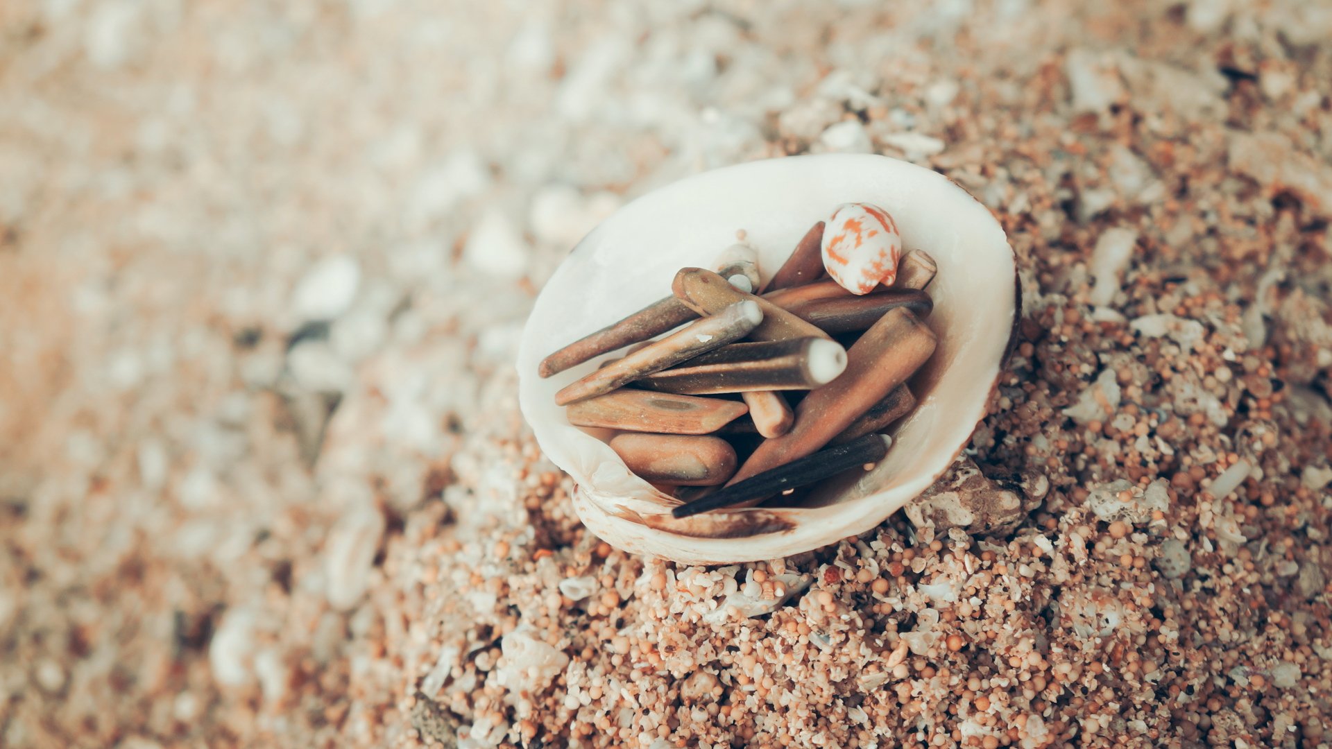 小清新,静物写真,贝壳,砂砾,儿童桌面专用