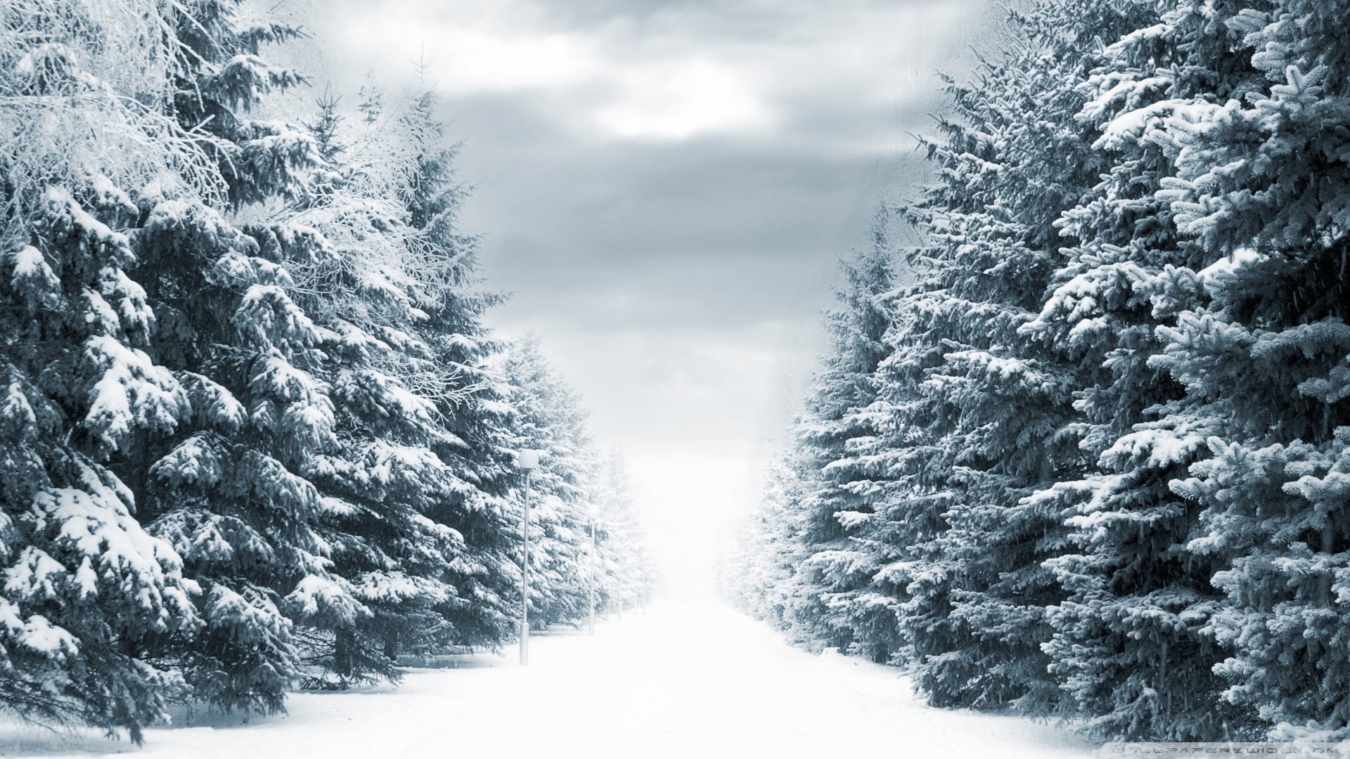 风景,冰天雪地,儿童桌面专用